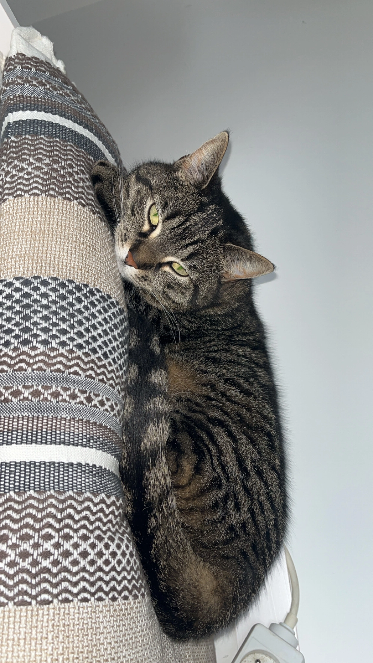 Bella - 44 Rue Lagorsse, Fontainebleau