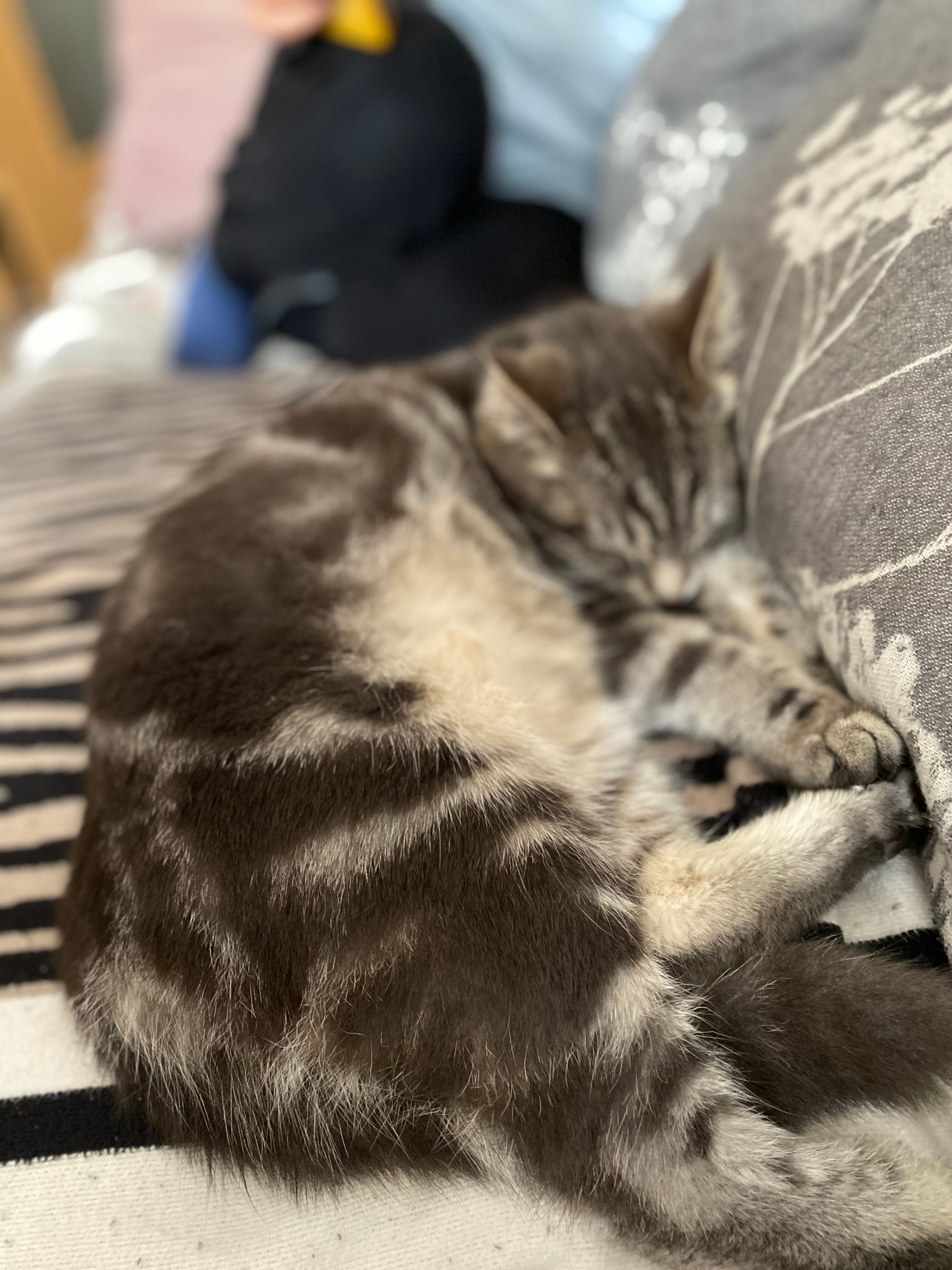 Calella - An Der Meerwiese, Münster