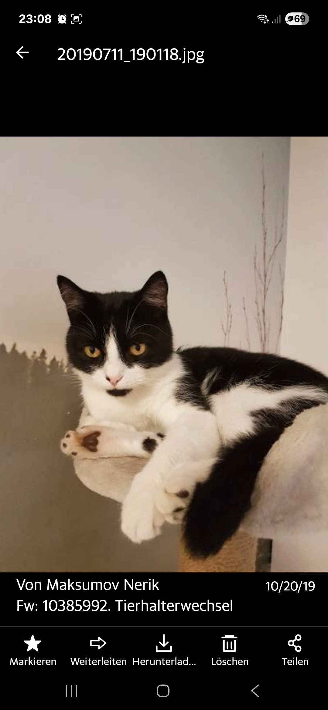 Jerry - 30926, Seelze