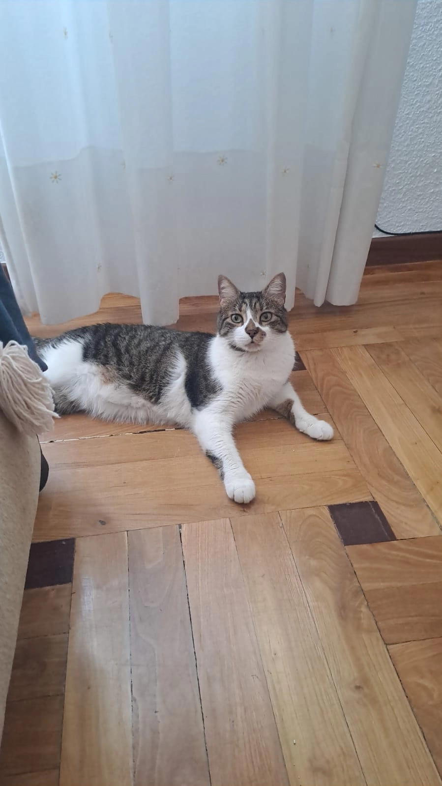 ODIN - Calle de Sánchez Preciado 43, Madrid