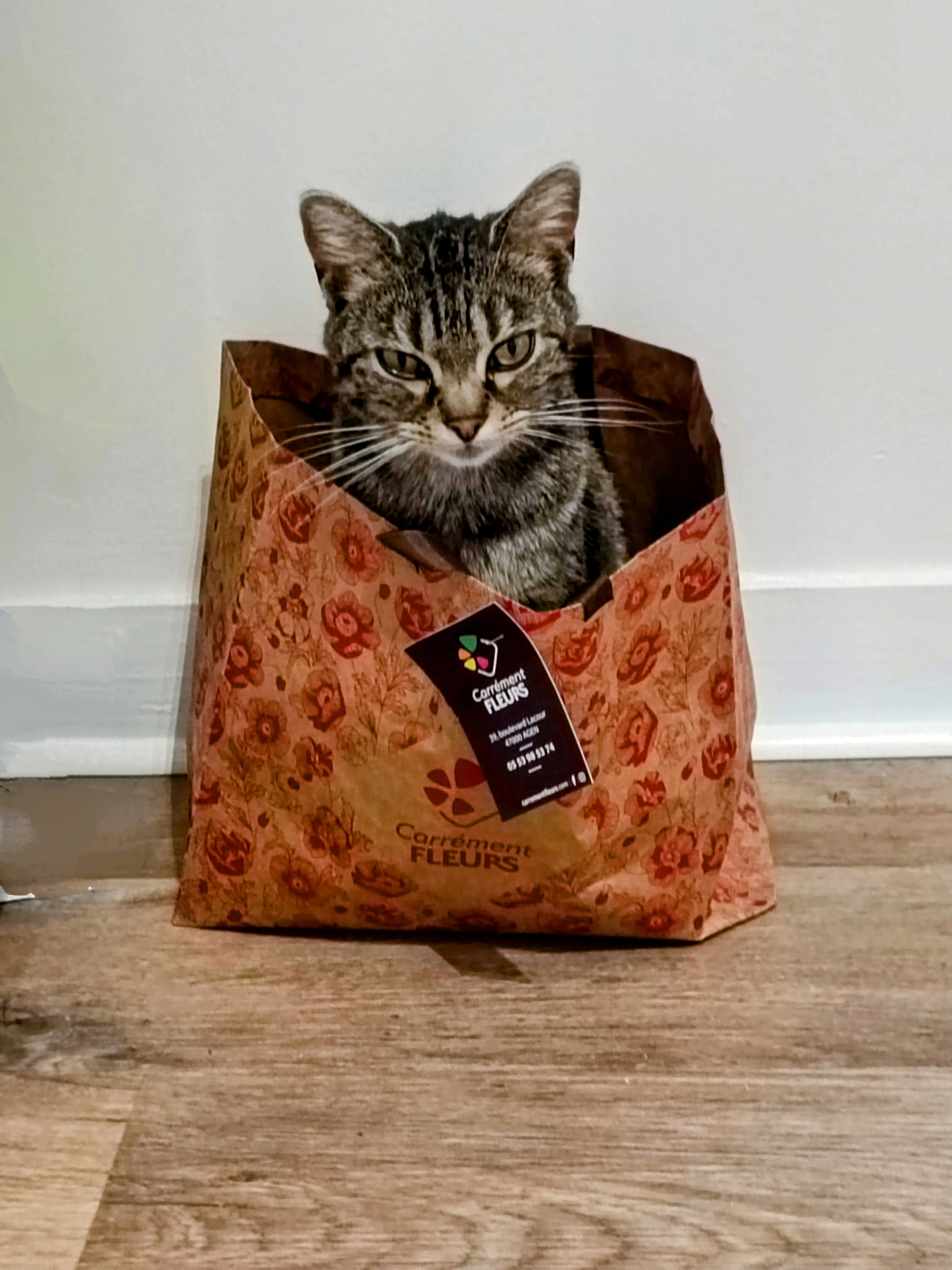 Storm - 39 Boulevard Sylvain Dumon, Agen