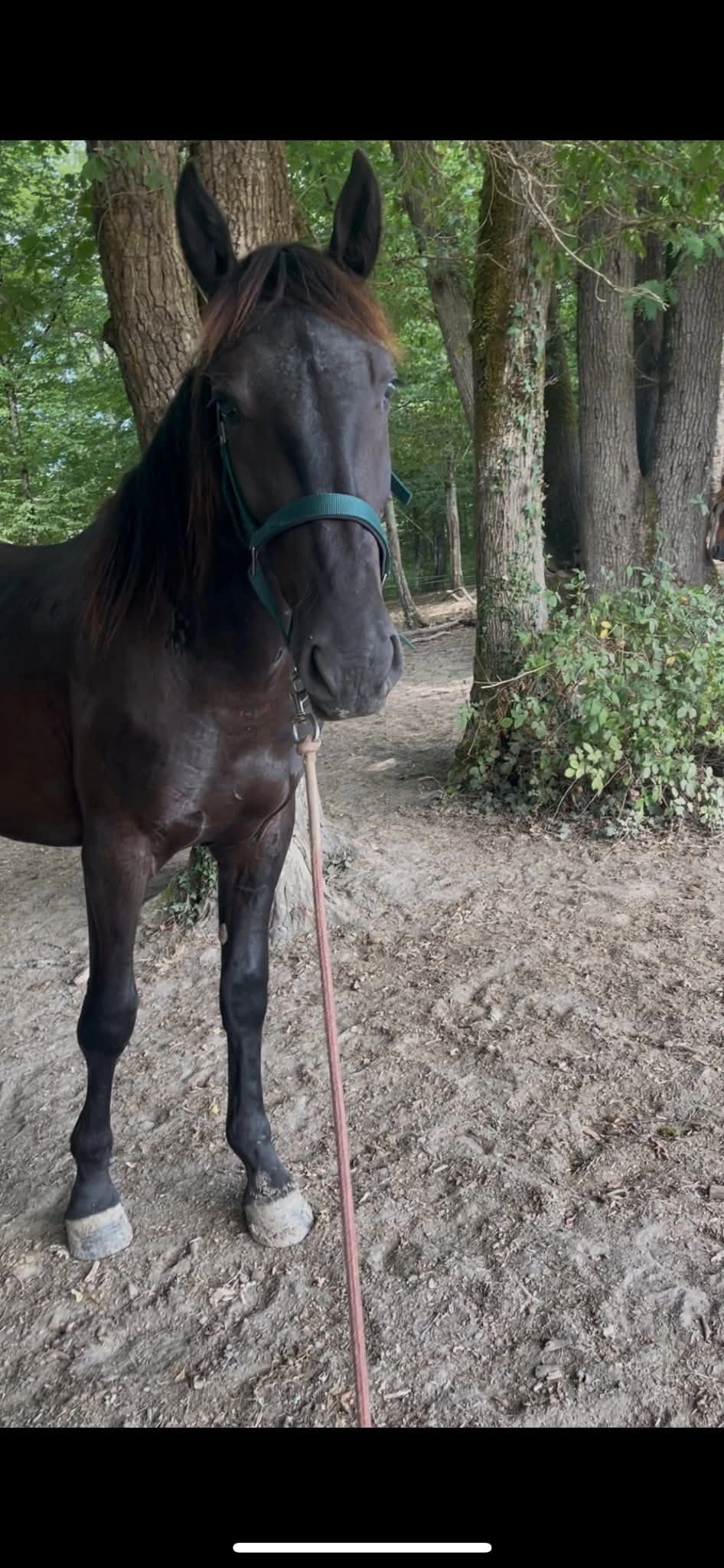 Tonio - Route Du Puyredon, Saint-Martin-de-Gurson