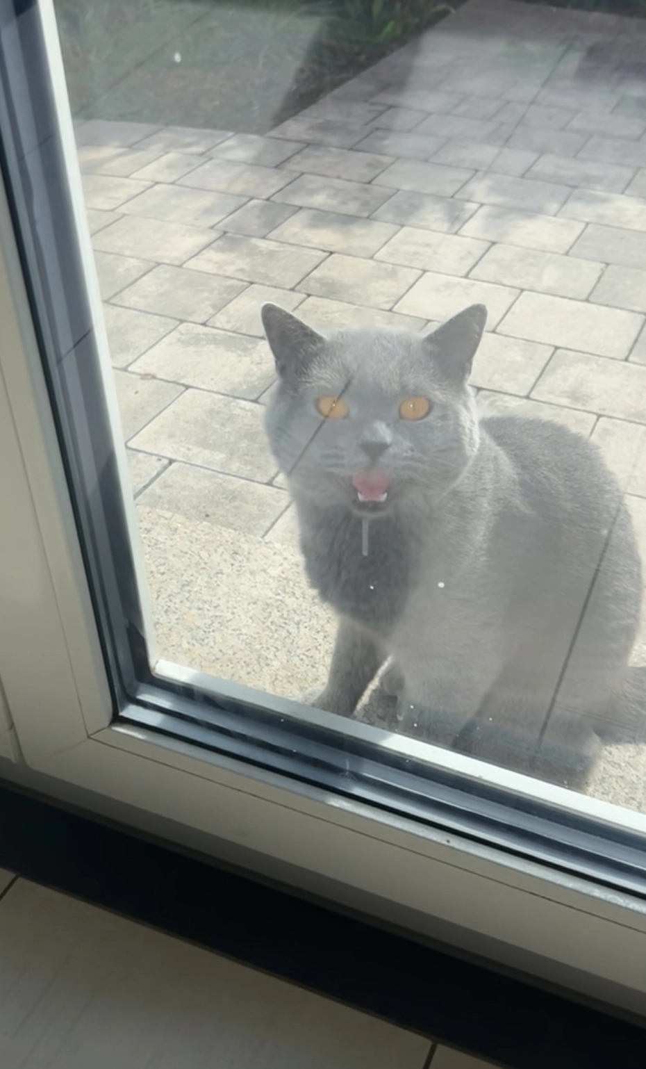 Dr Watson - Am Breiten Rain, Rauhenebrach