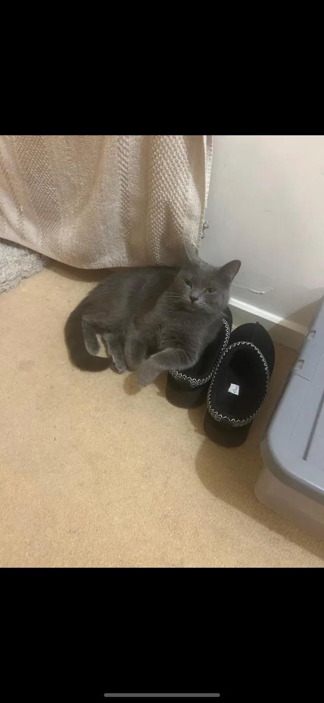 Luna - Moorcroft, Ossett