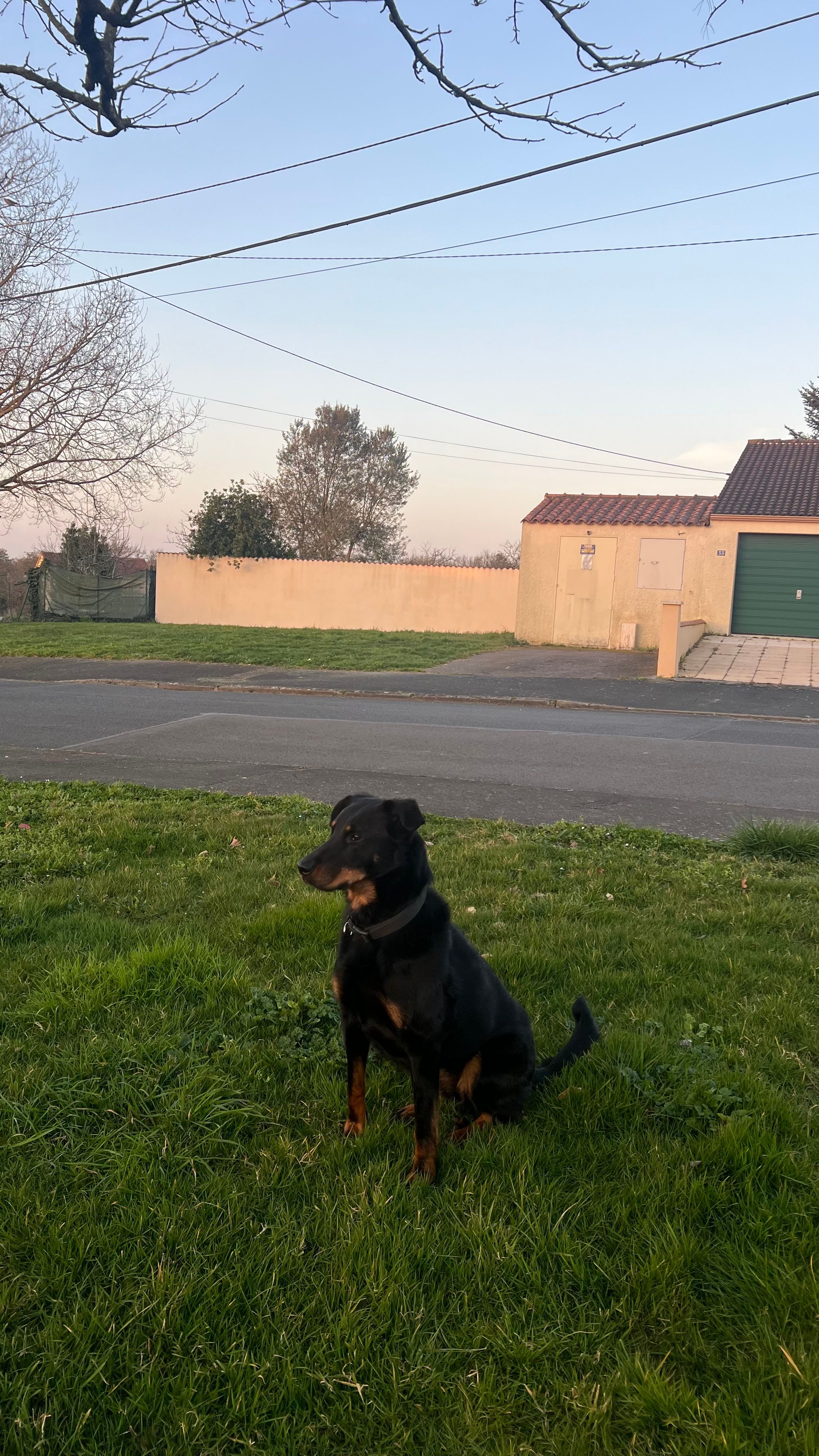 ouchka - Chemin Charles Biguet, La Roche-sur-Yon