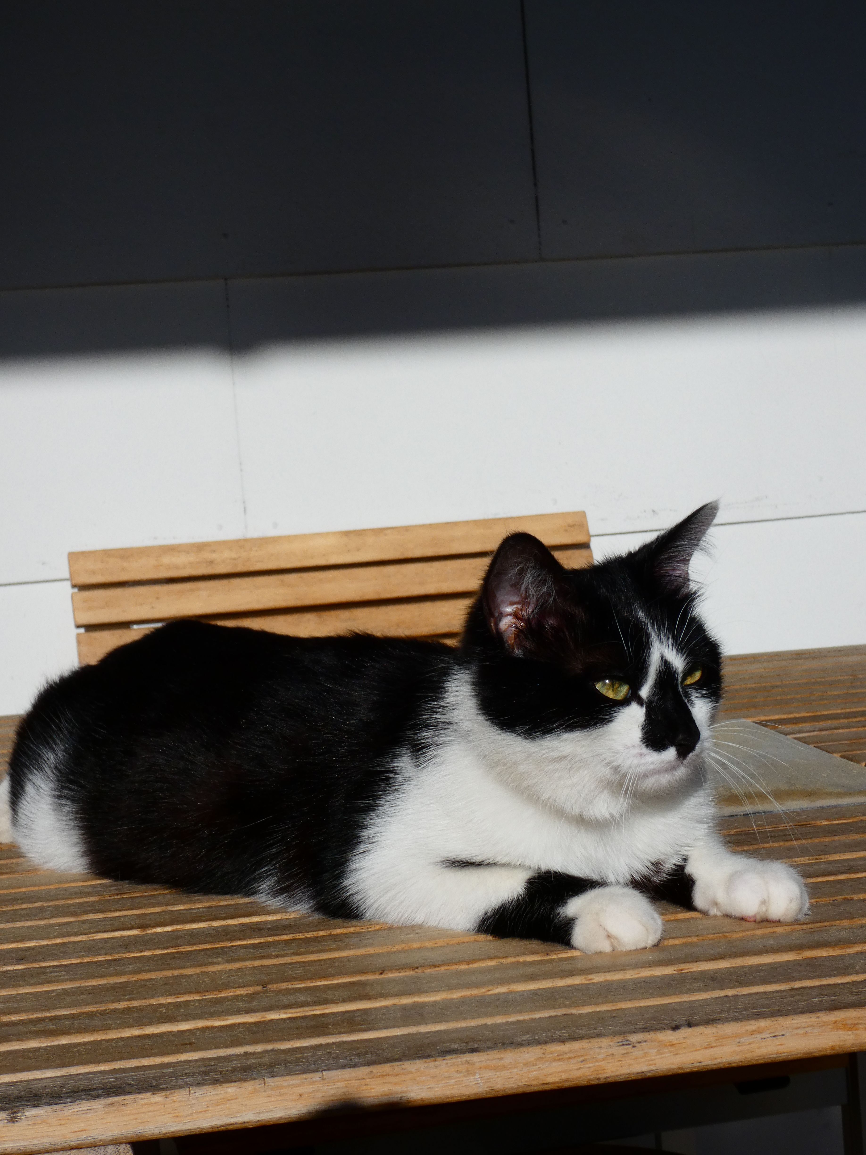 Piuma - Geigelsteinstraße 25, Bernau am Chiemsee