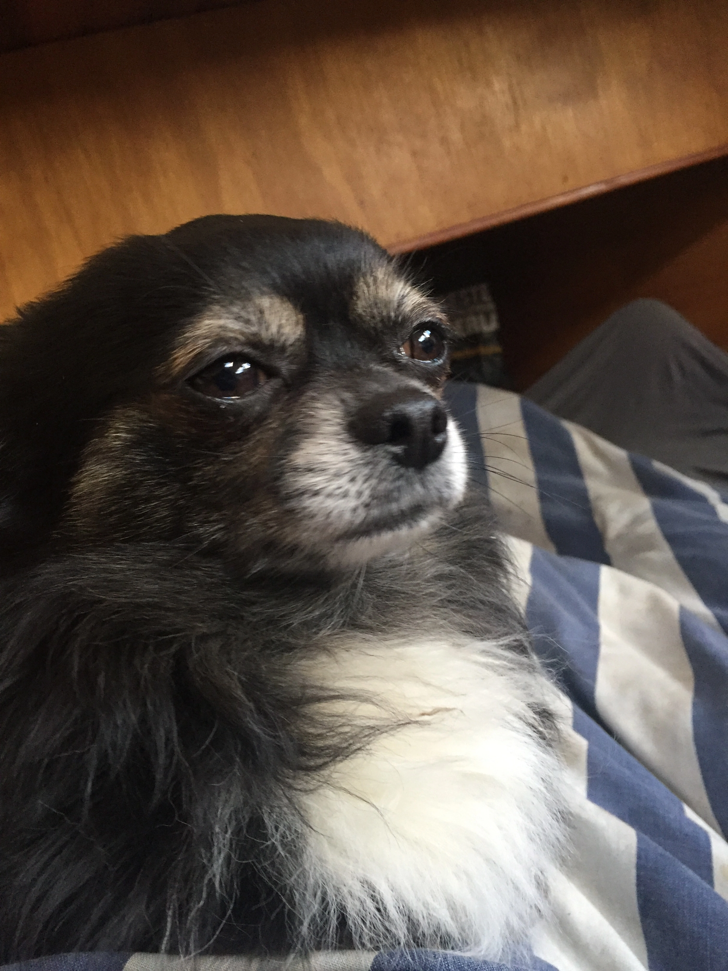 Maatje - Raadhuisstraat, Moergestel