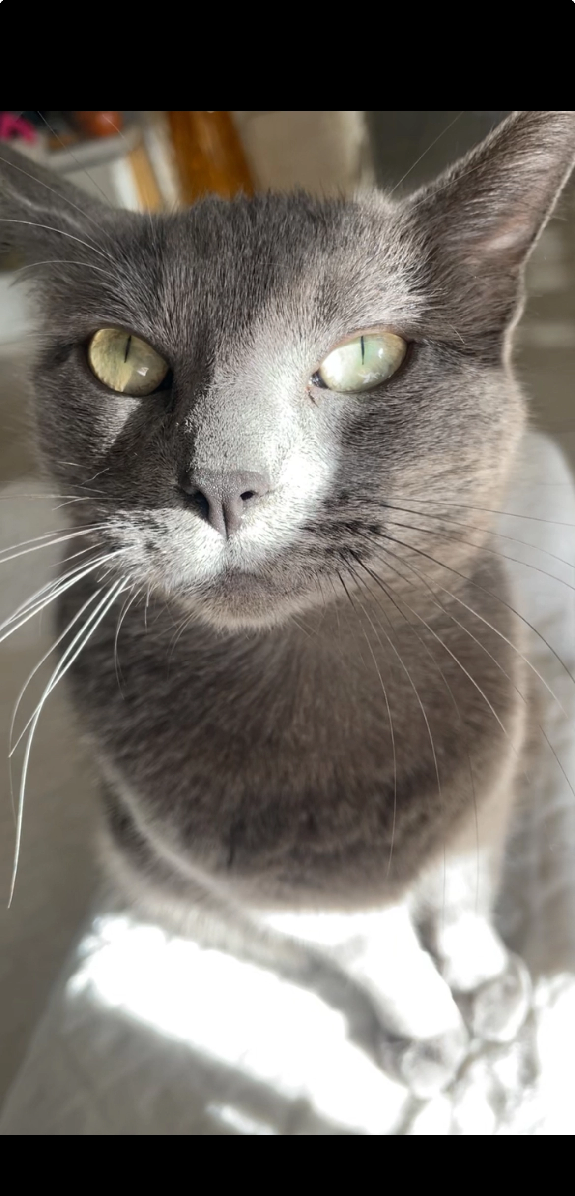 Malty - Place Saint-Martin, Pons