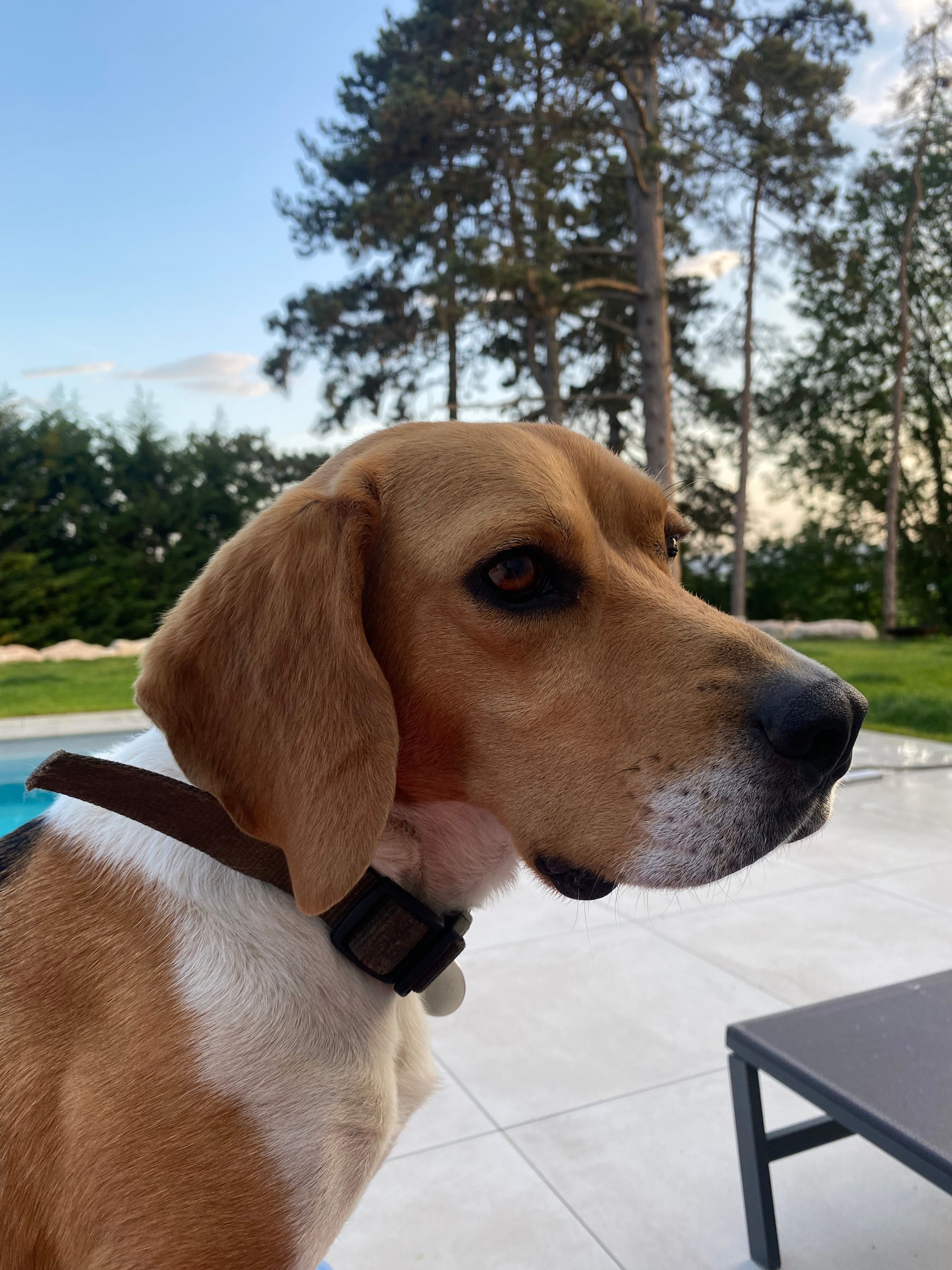 Opex - Route du Puy d'Or, Limonest