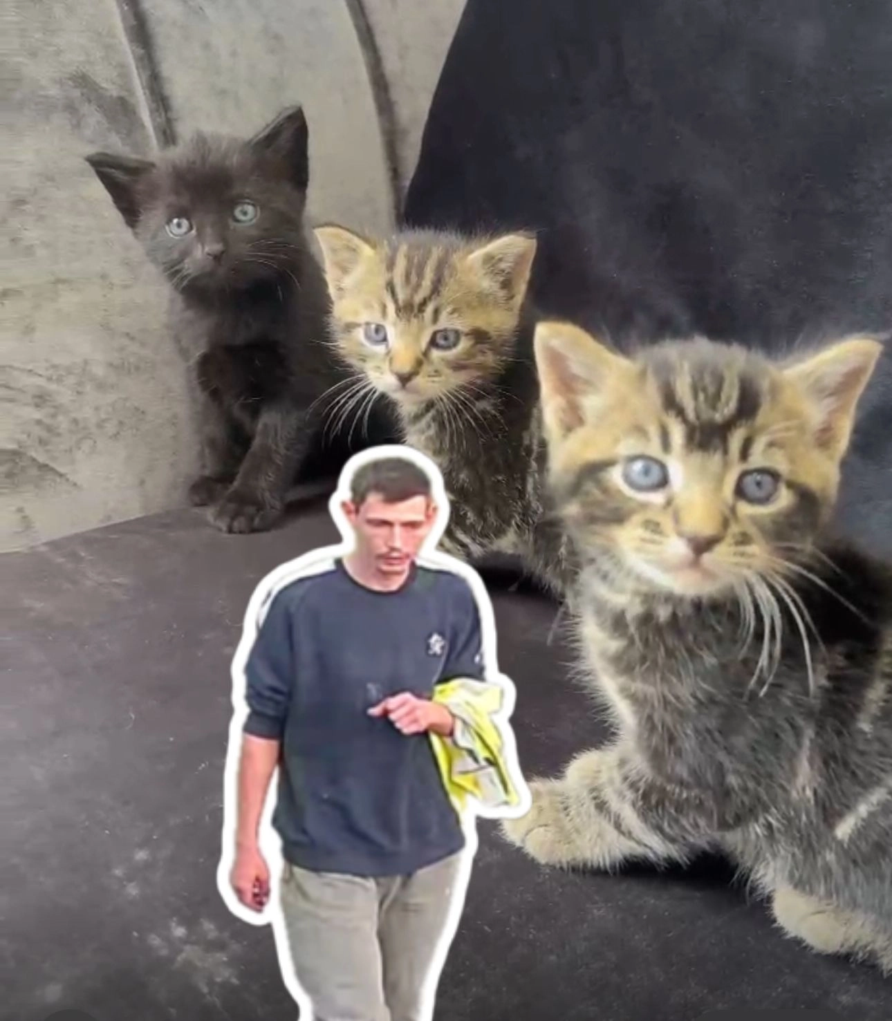 Puma - Lincoln Road, Peterborough