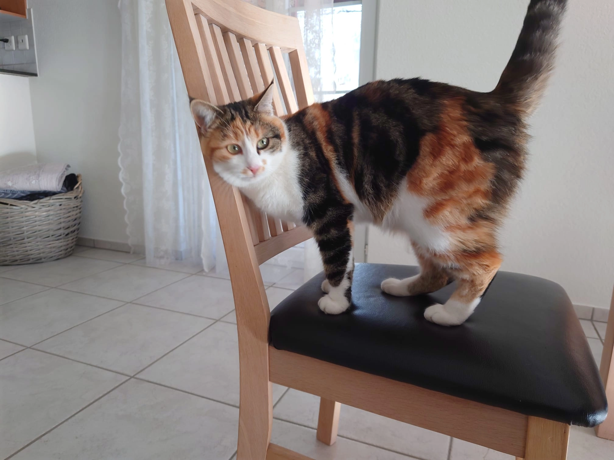 Kira - Neumattweg 15, 3967 Boll