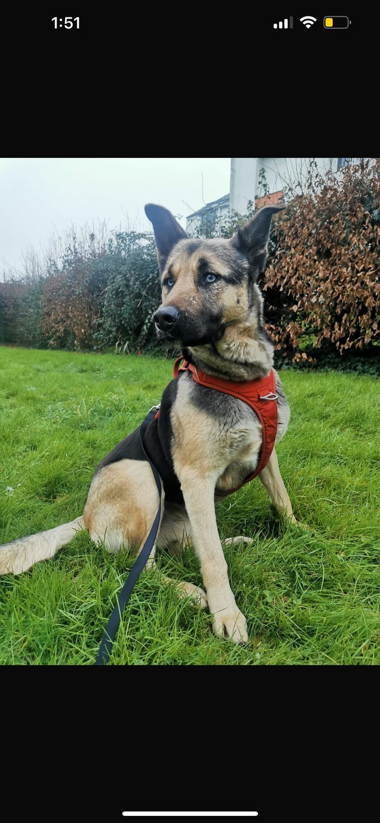 Ice - 44690, Monnières