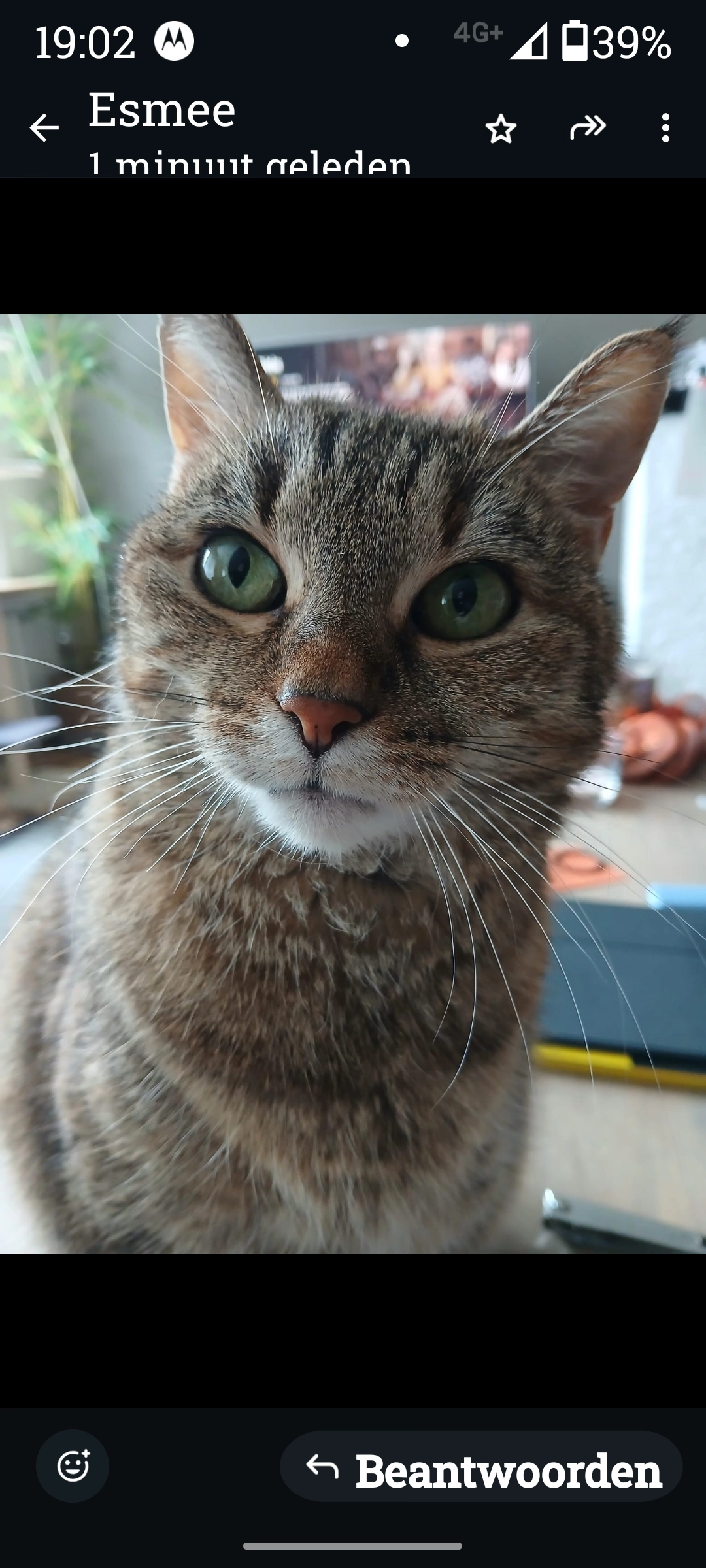 loulou - Lange Vesting 38, Brugge