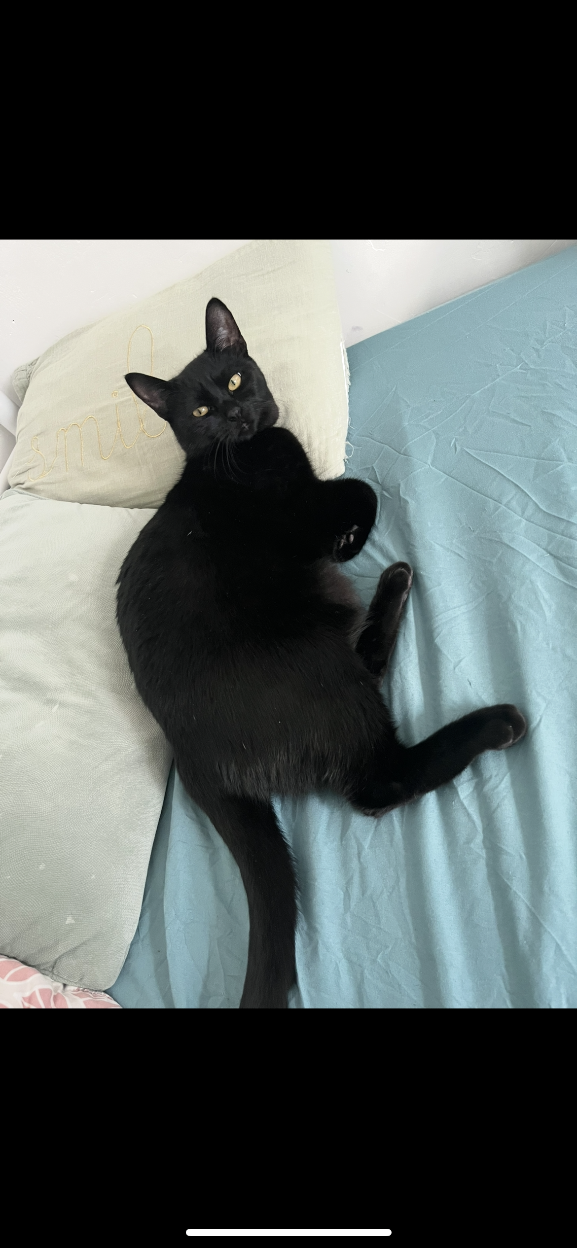 Sasha - Rue André Briot, Mouy