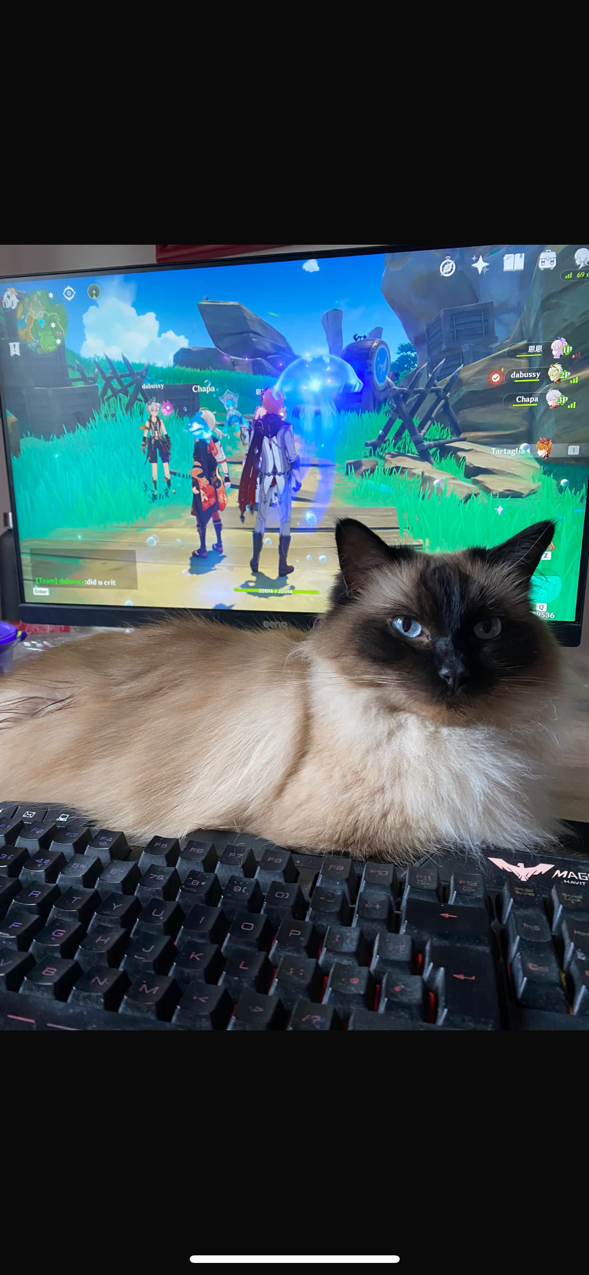 Katniss - B950, Blairgowrie and Rattray