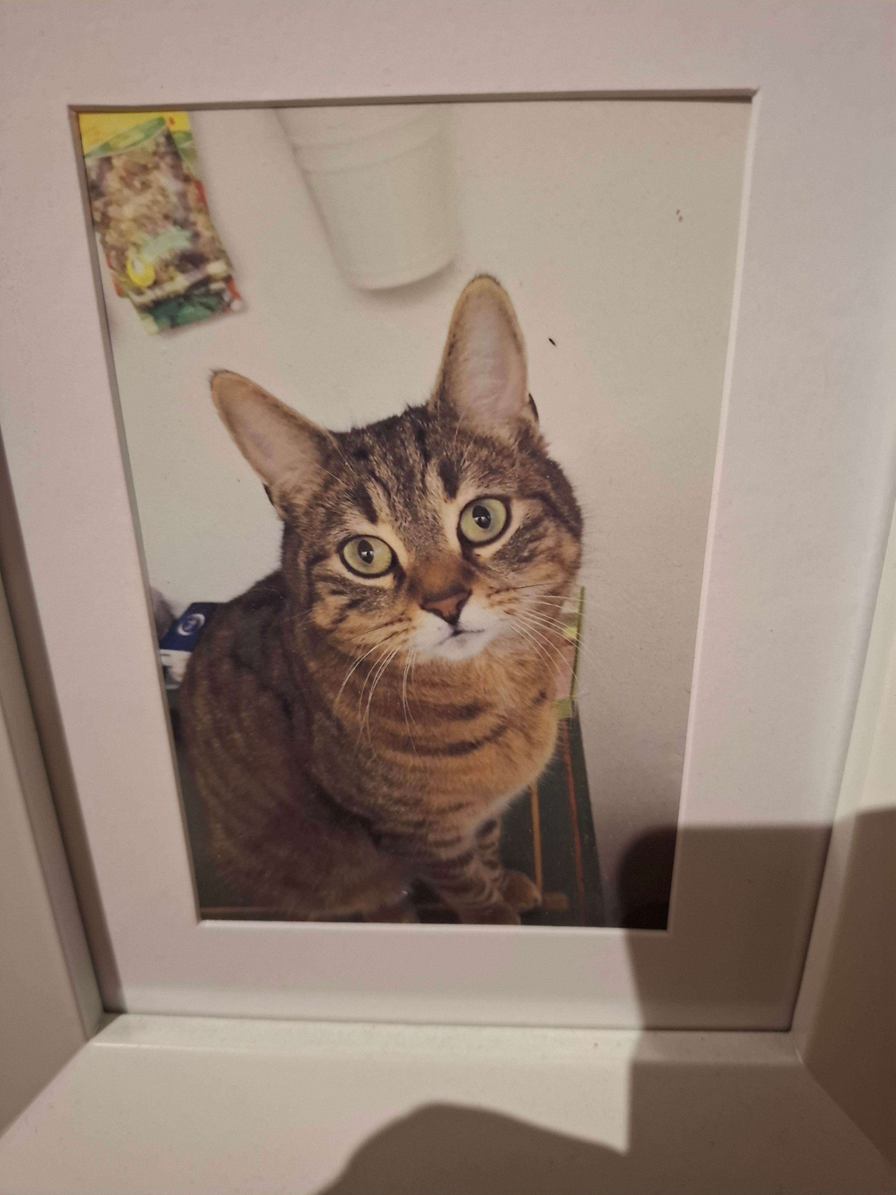 Lars - Ringstrasse 17, Grenchen