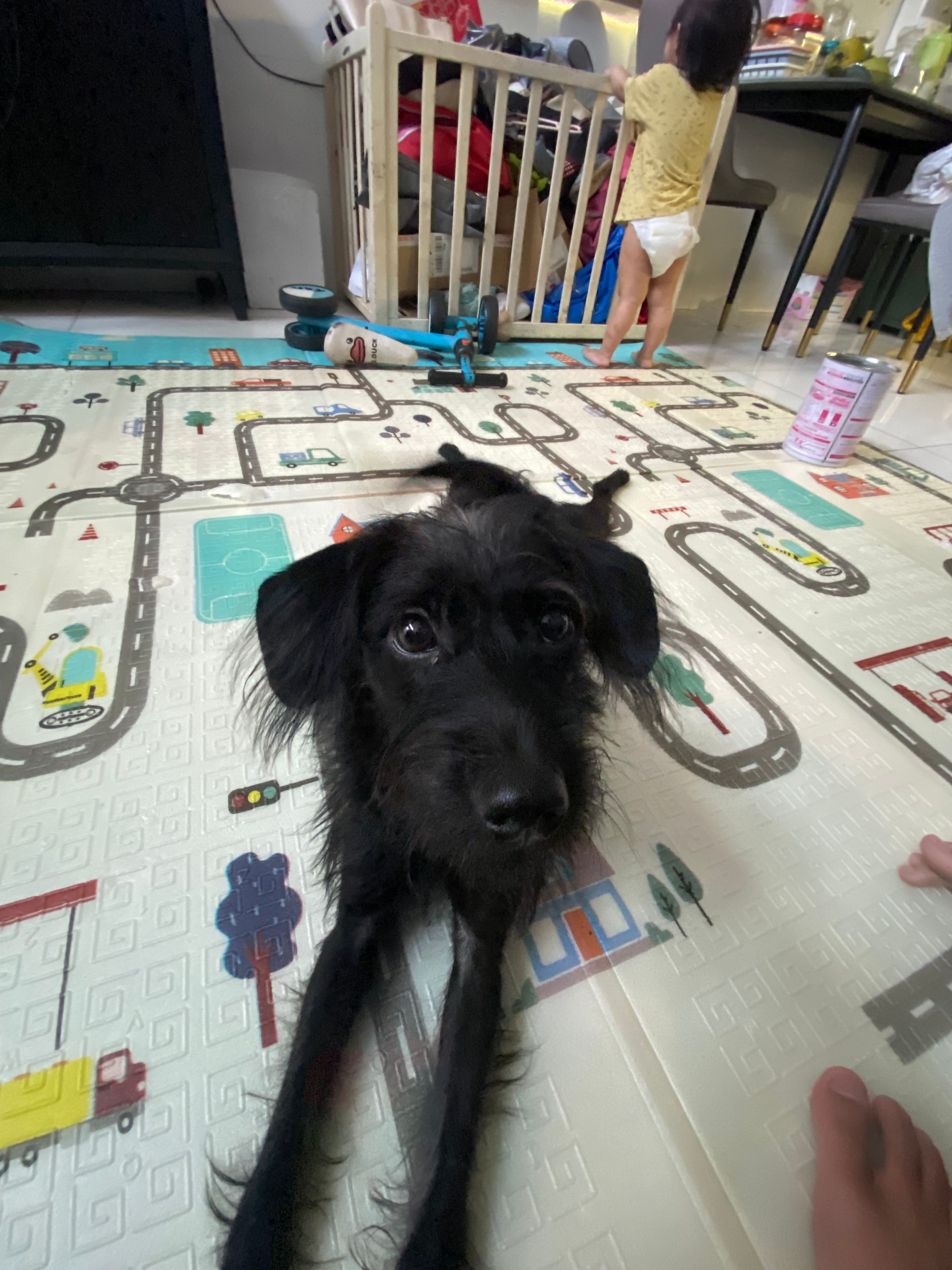 MIMI - Ward 12, Ho Chi Minh City