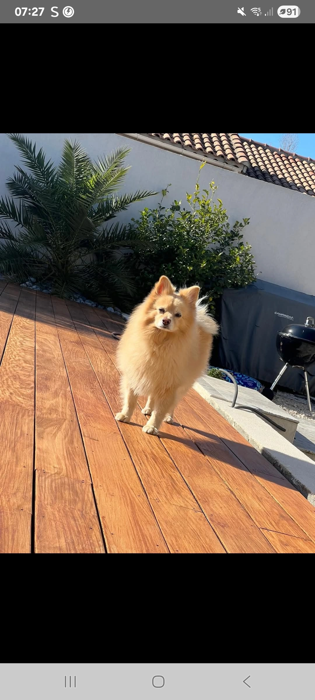 Nounours - Avenue Château-Laugier, Châteauneuf-les-Martigues