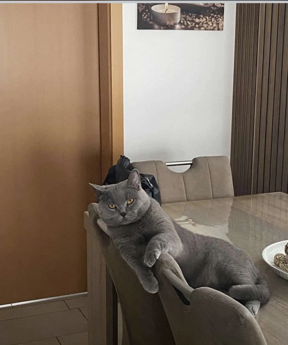 Milo - Blumenstraße, Hückeswagen