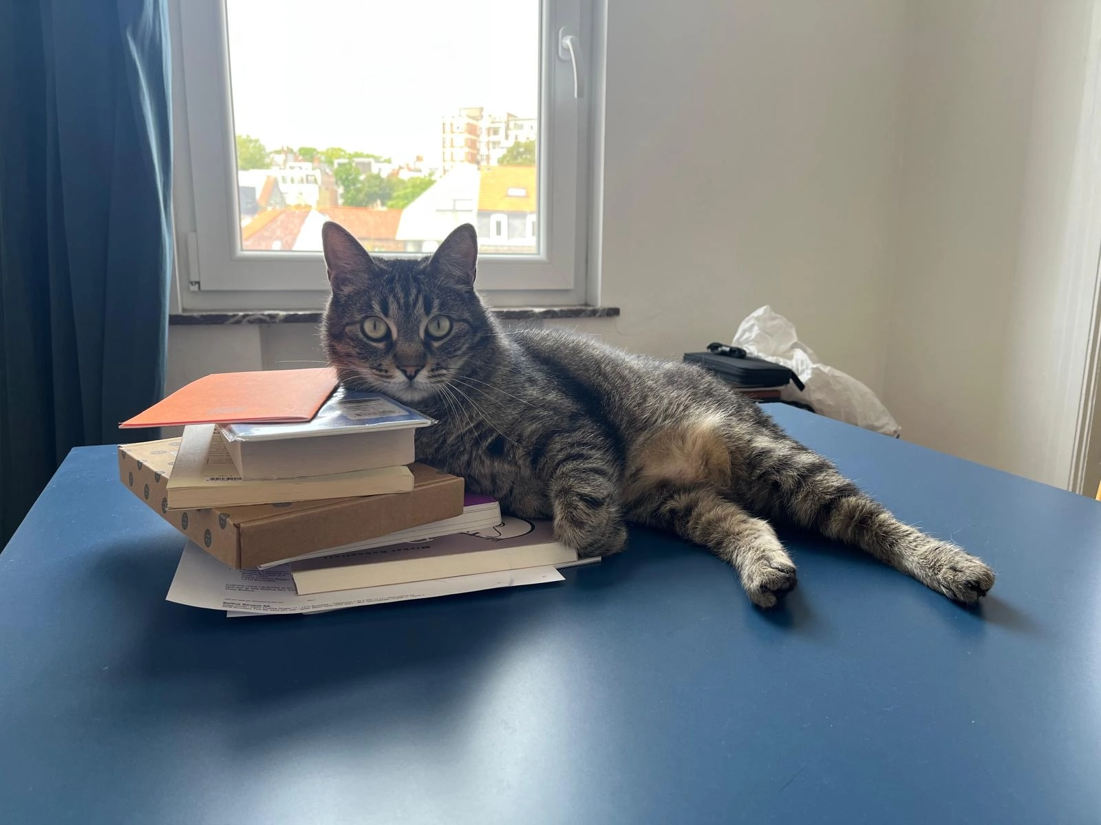 Atchi - Rue Bure Crèvecoeur, Herstal