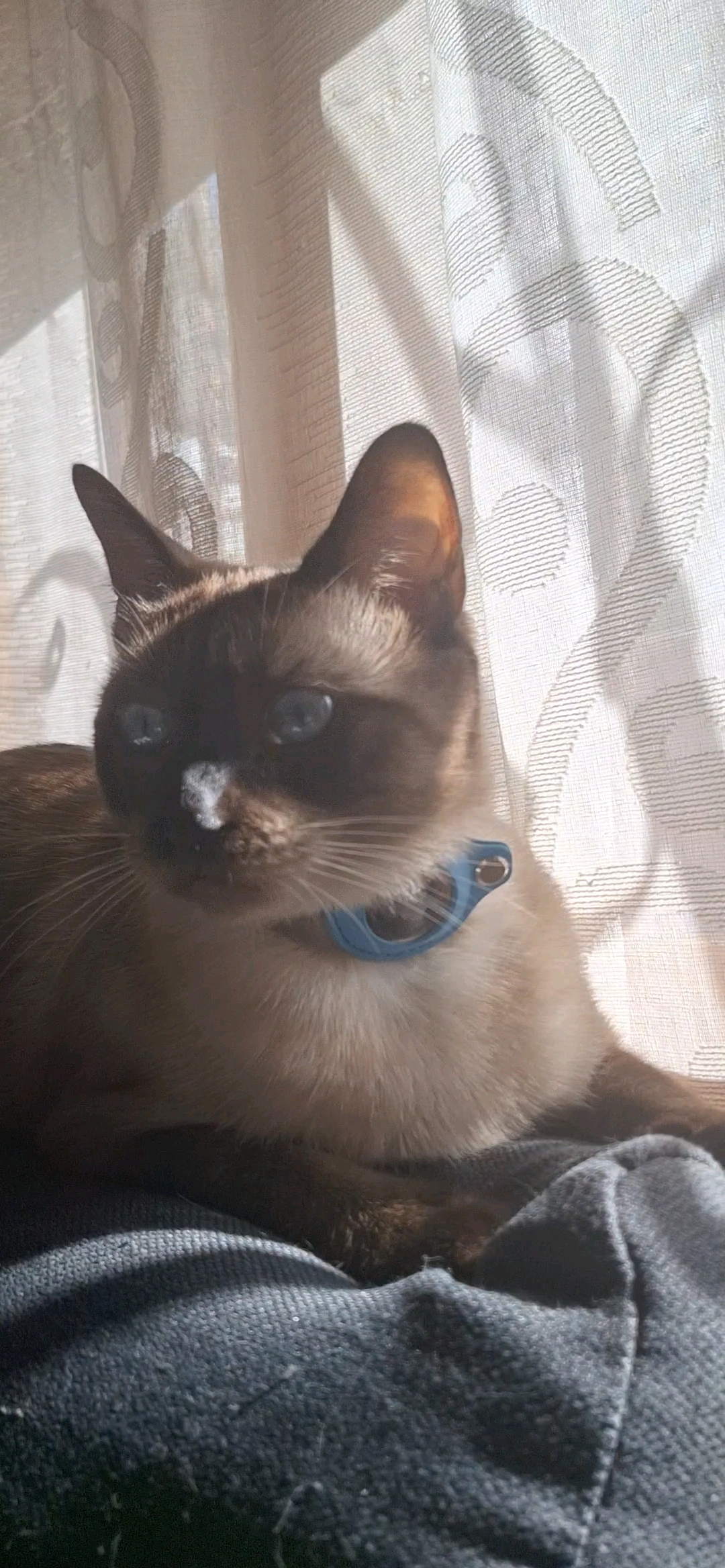 Neo - Calle Holanda 2A, Alfacar