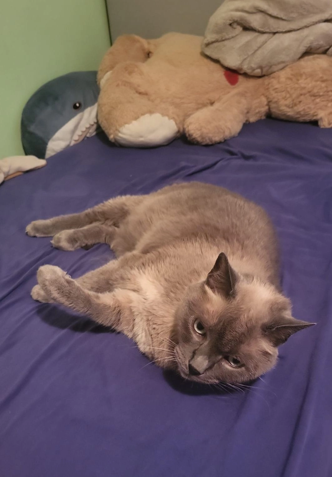 Puuki - Am Winkelzaun, Chieming