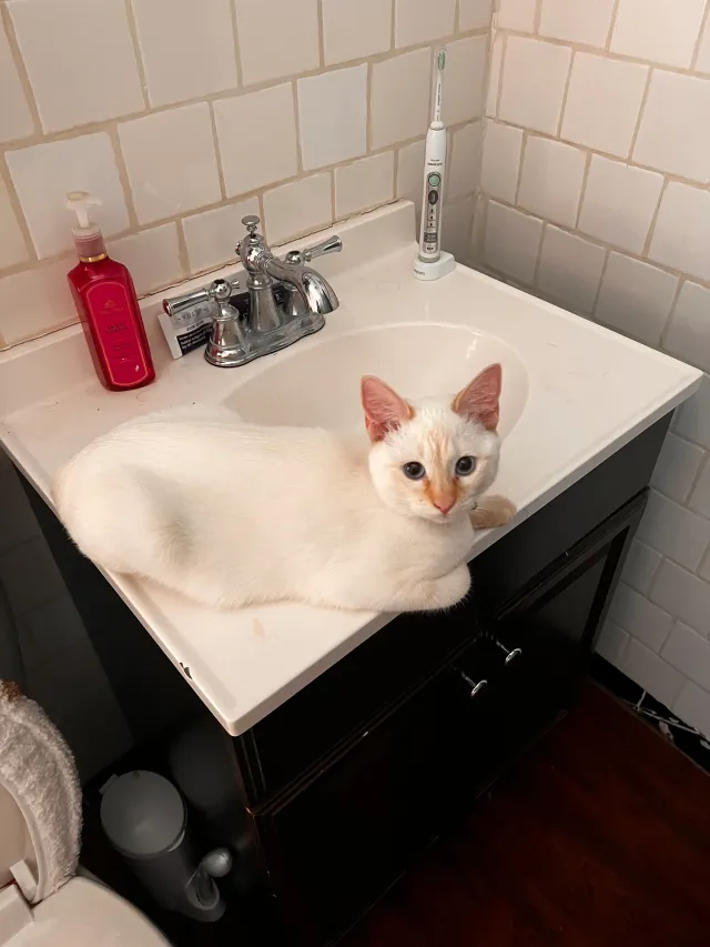 Yuki - Pioneer Street, Oklahoma City