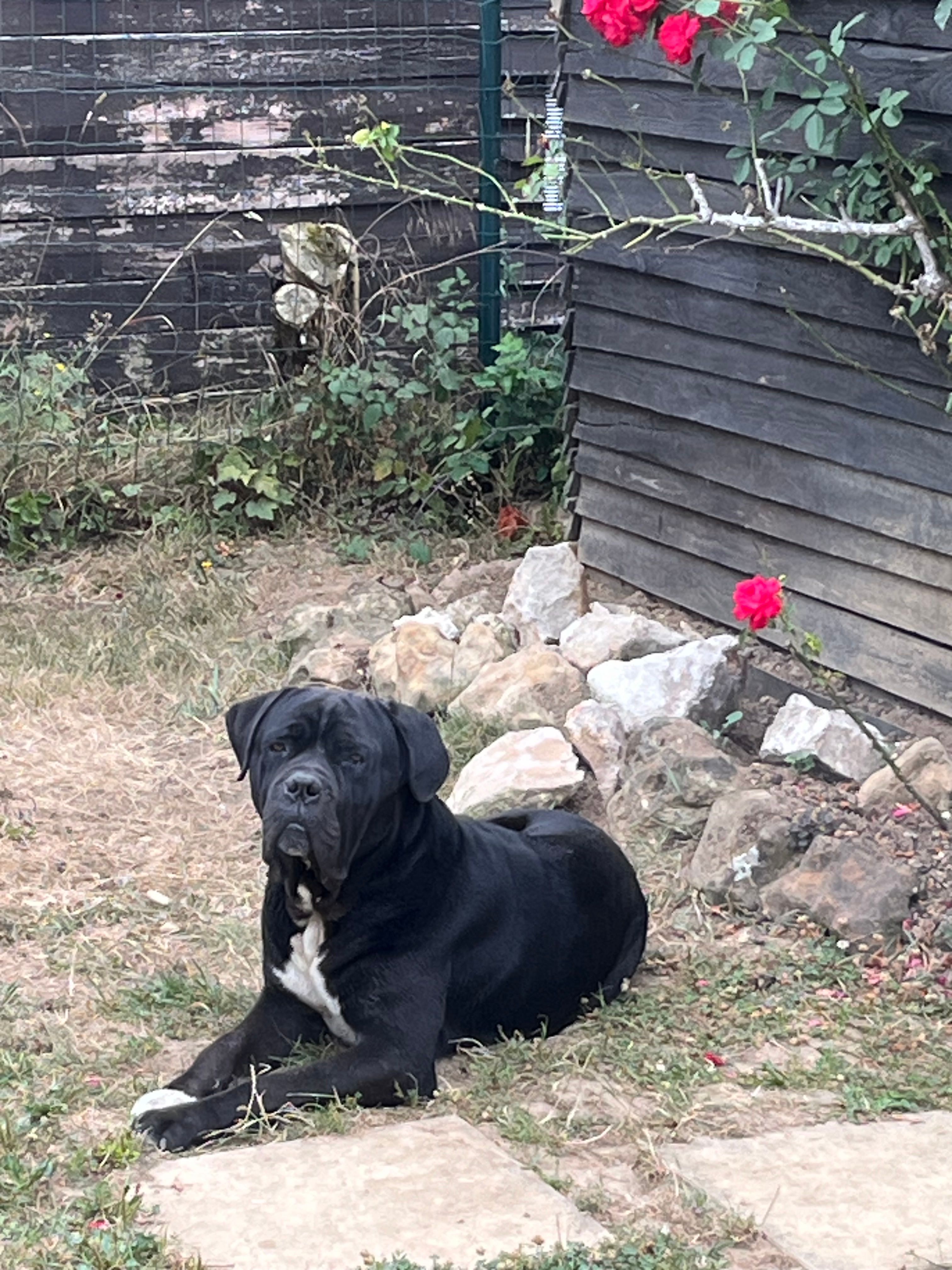 Morpheus - 17 Rue Pablo Picasso, Tours