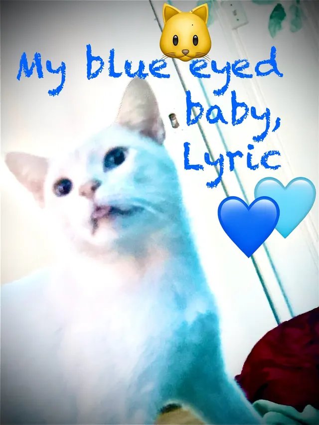 Lyric - 1202 Cloverdale Rd, Gadsden