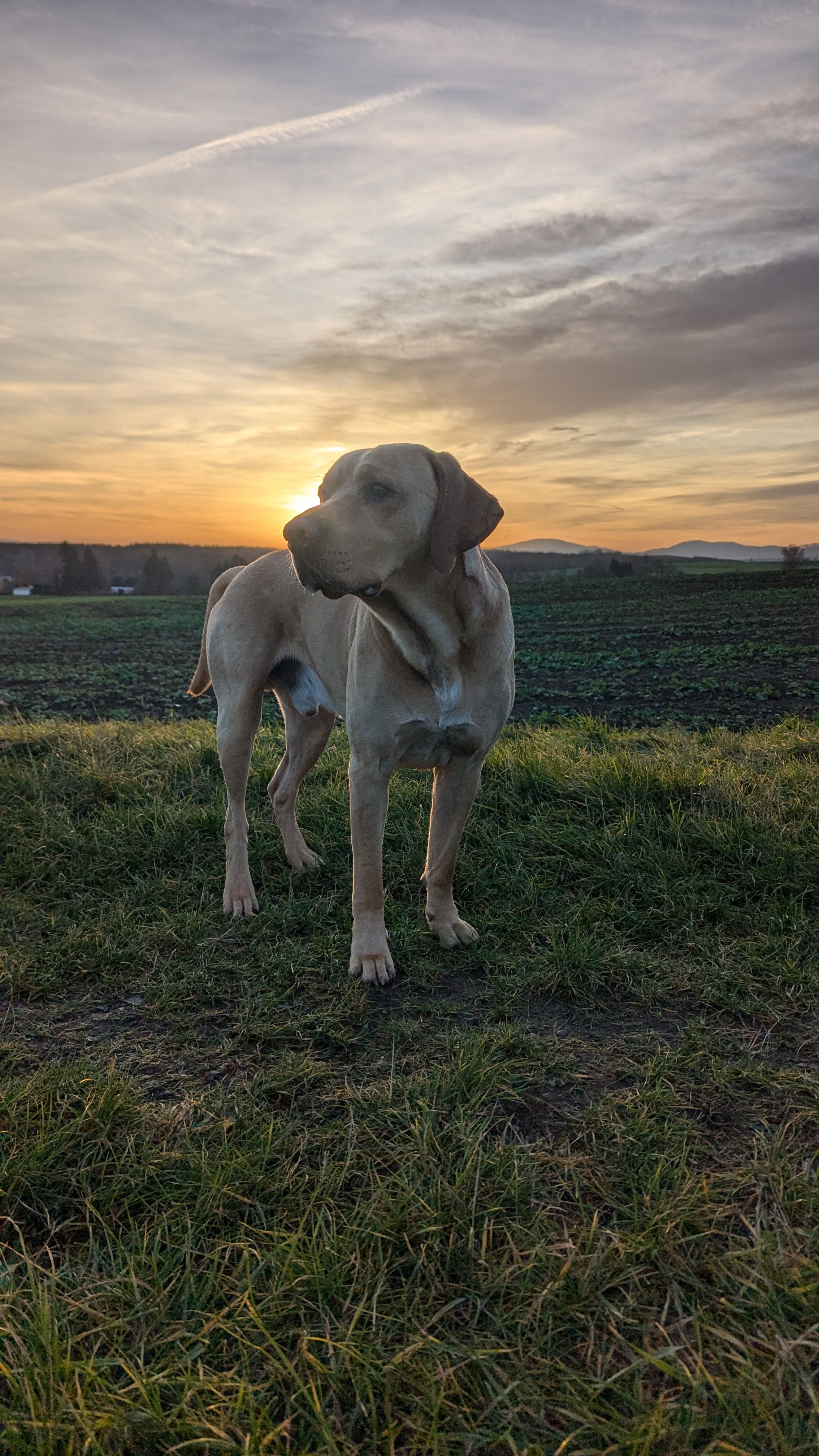 Egon - Neusalzaer Straße, Zittau