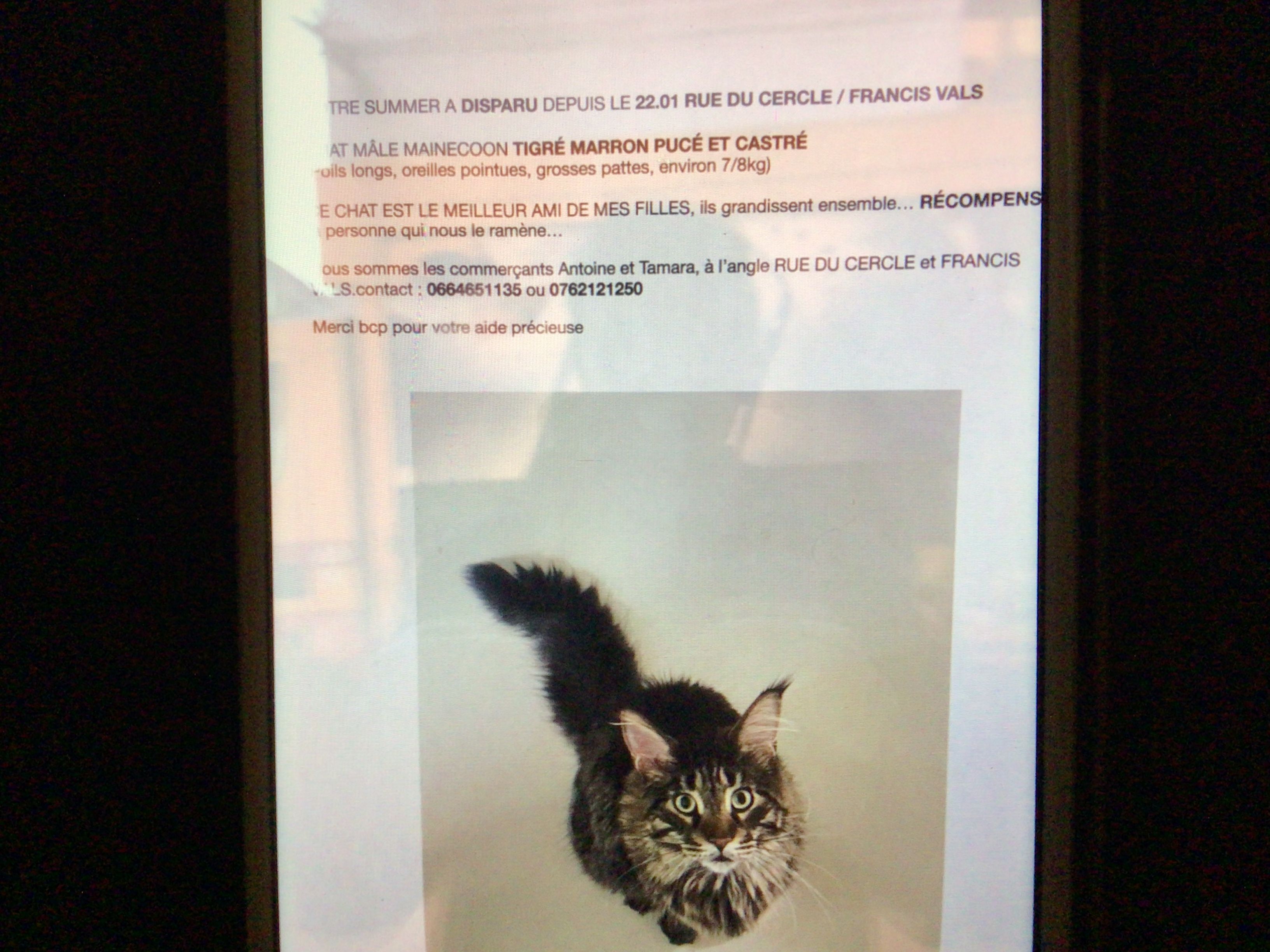 Summer - Avenue Francis Vals, Leucate