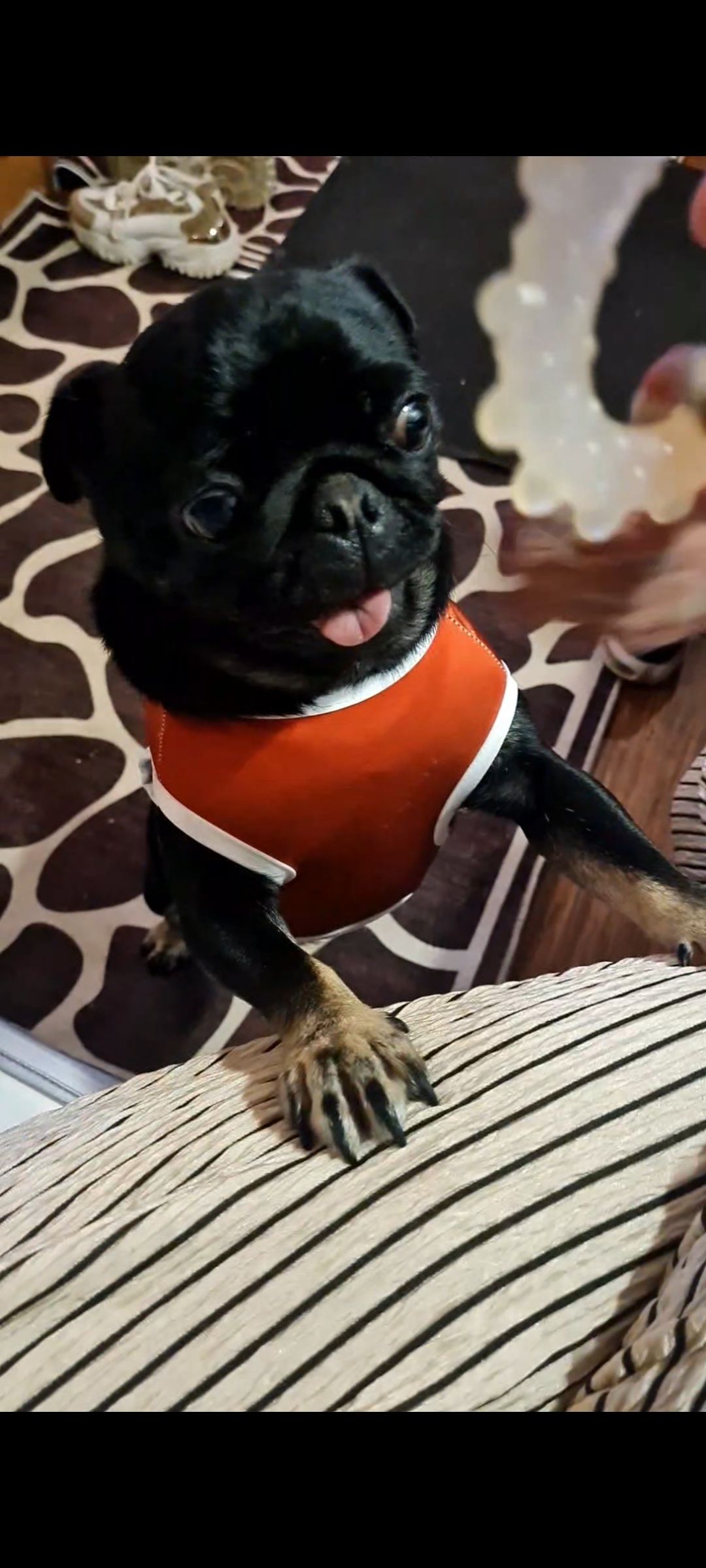 Nurse - Rue Anatole France, Beuvry