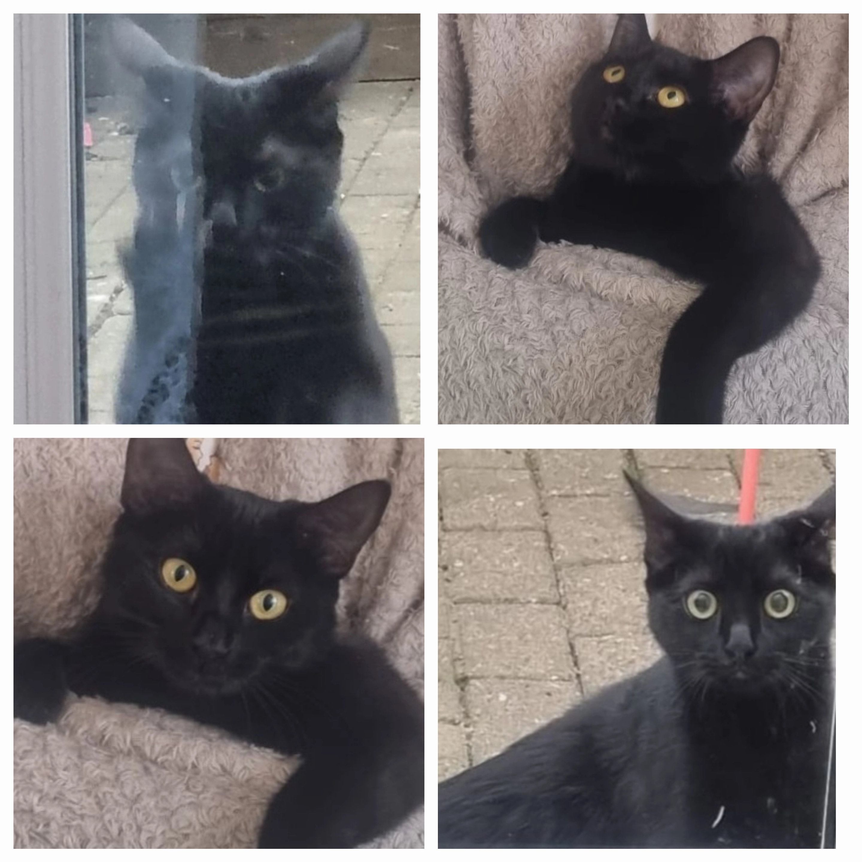 Pepsi - Slimbridge Road, Gloucester