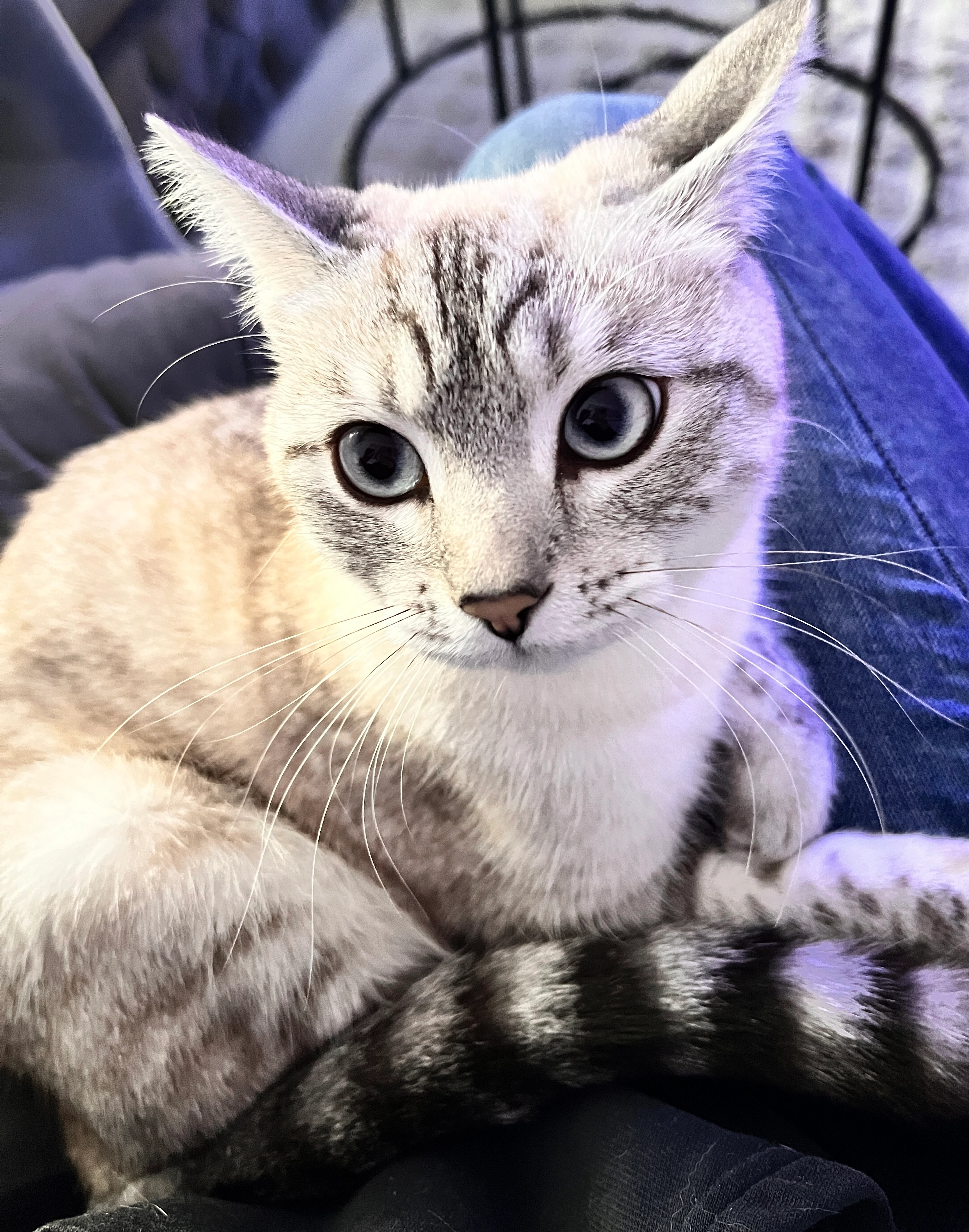 Micky - Beerenstraße, Leverkusen