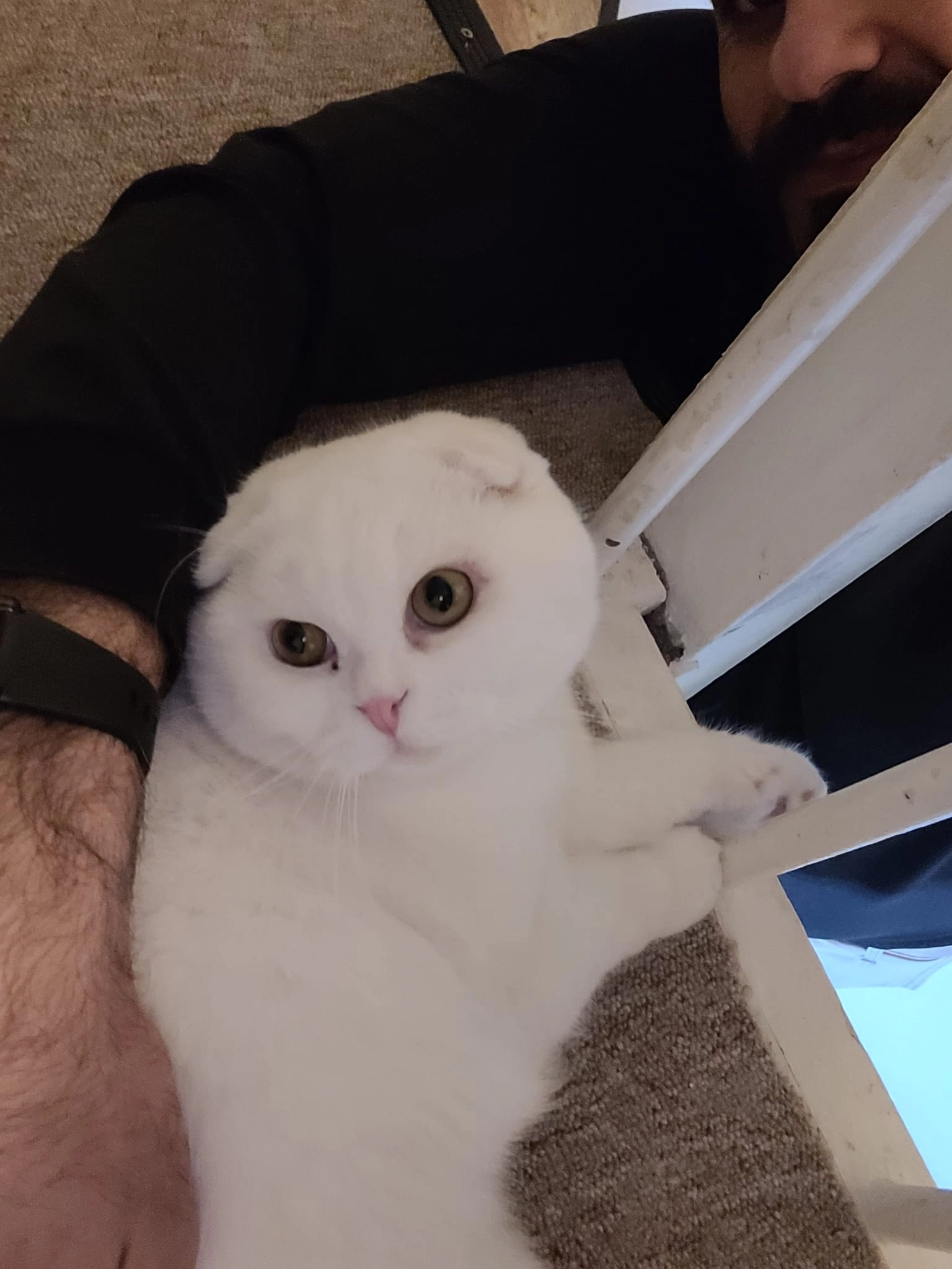 Blaco - Marnix van Sint-Aldegondestraat, Leerdam