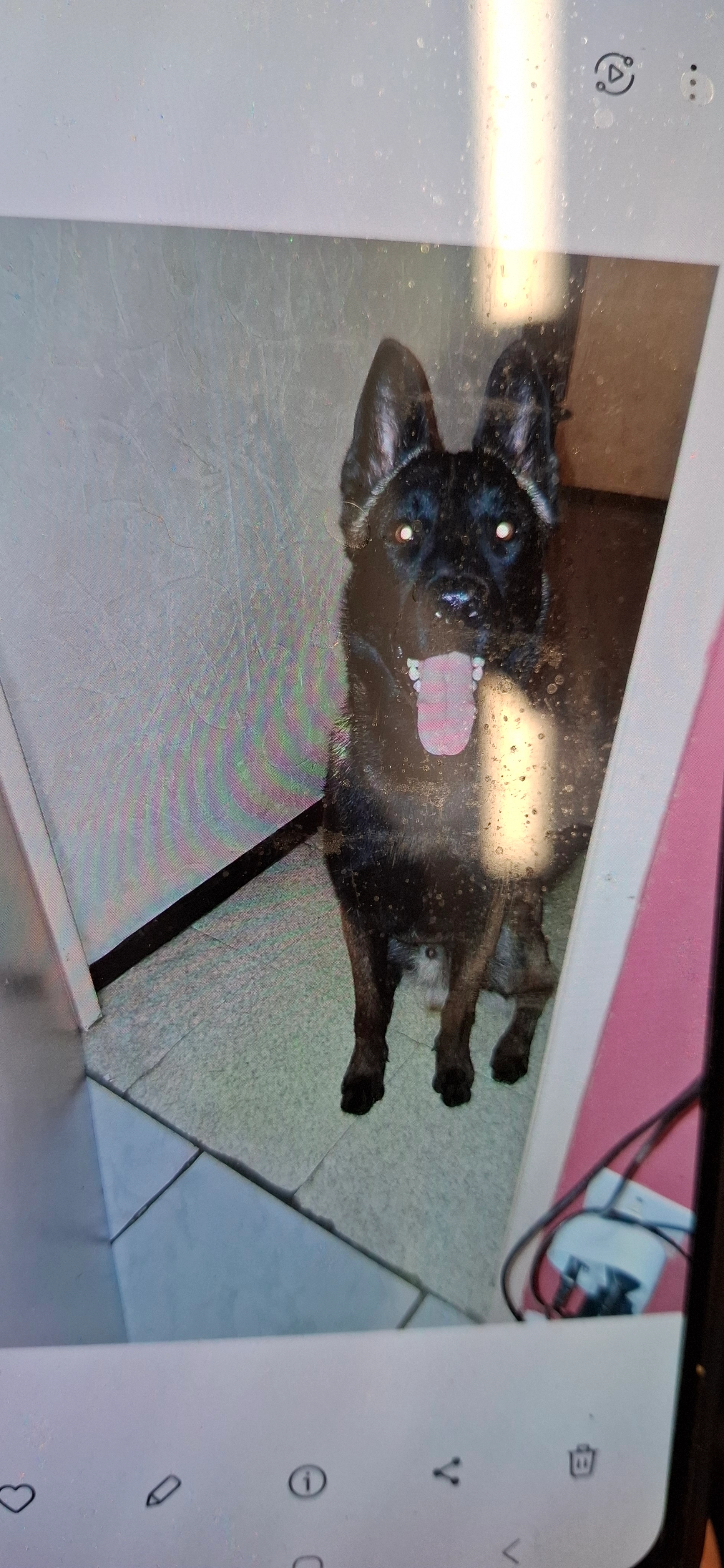 Gucci - Chemin De Châteauvallon, Ollioules