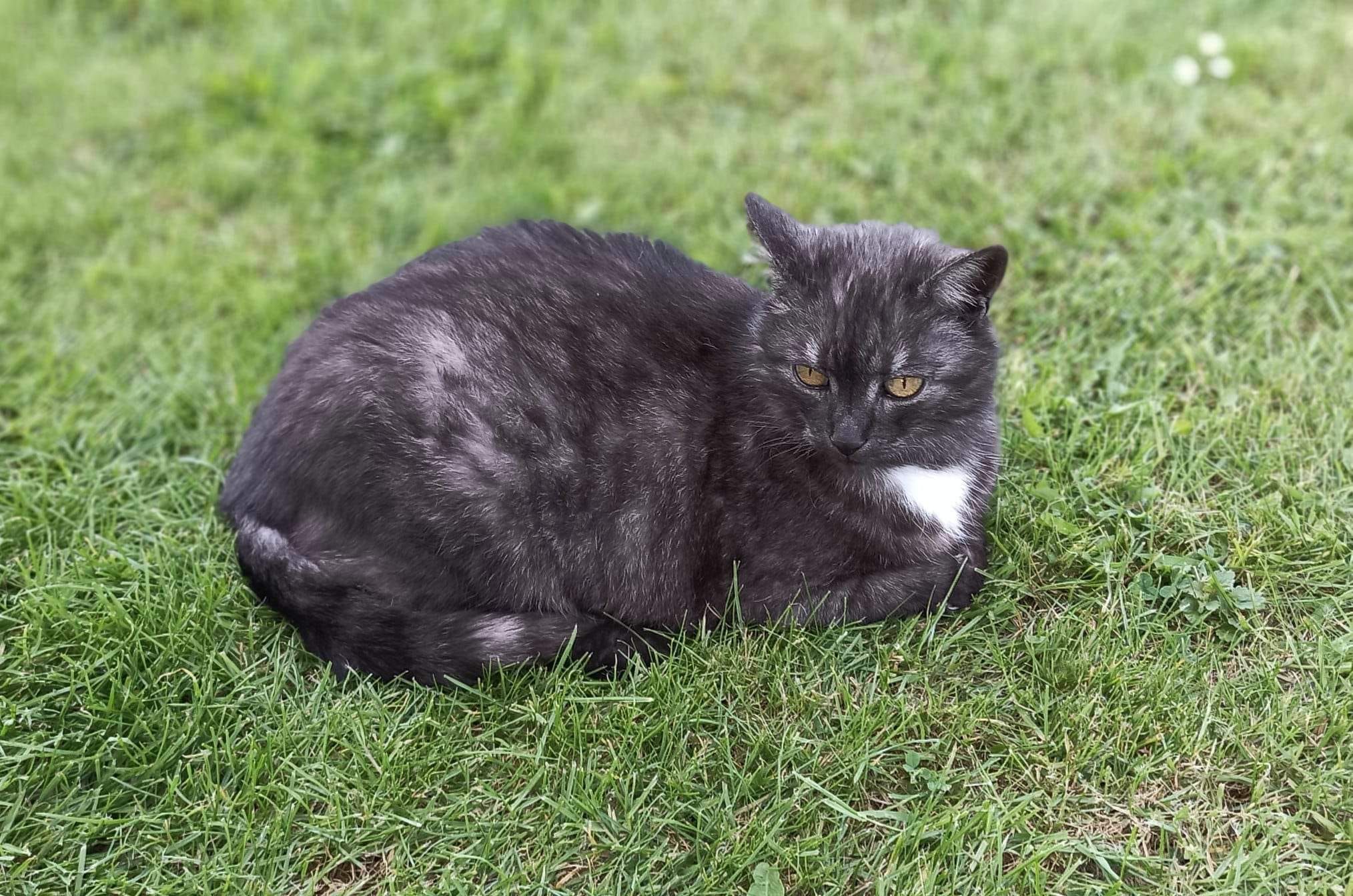 Mia - Über der Kirche 6, Biebergemünd