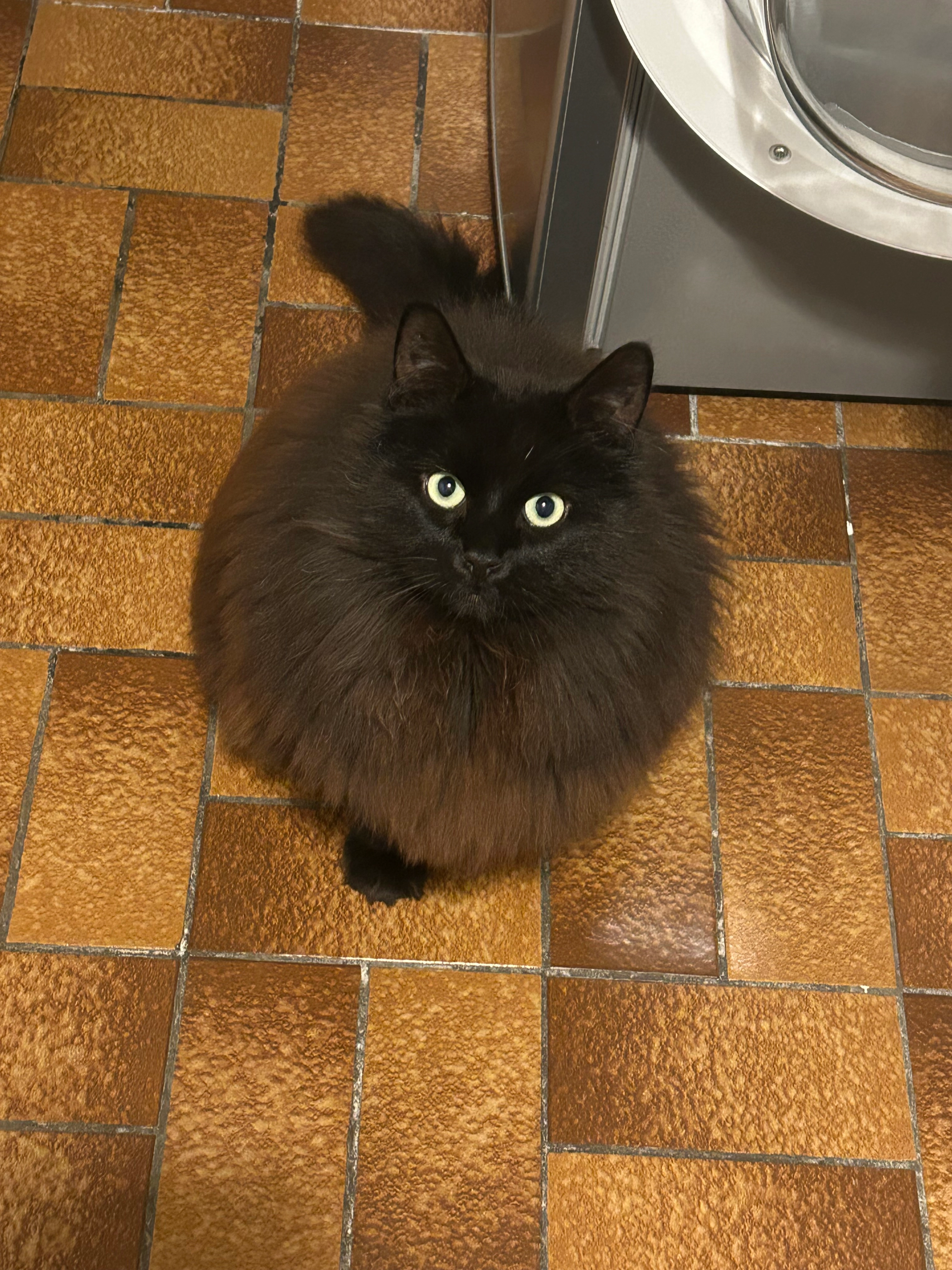 Bouboule - Rue De Courcelles, Reims