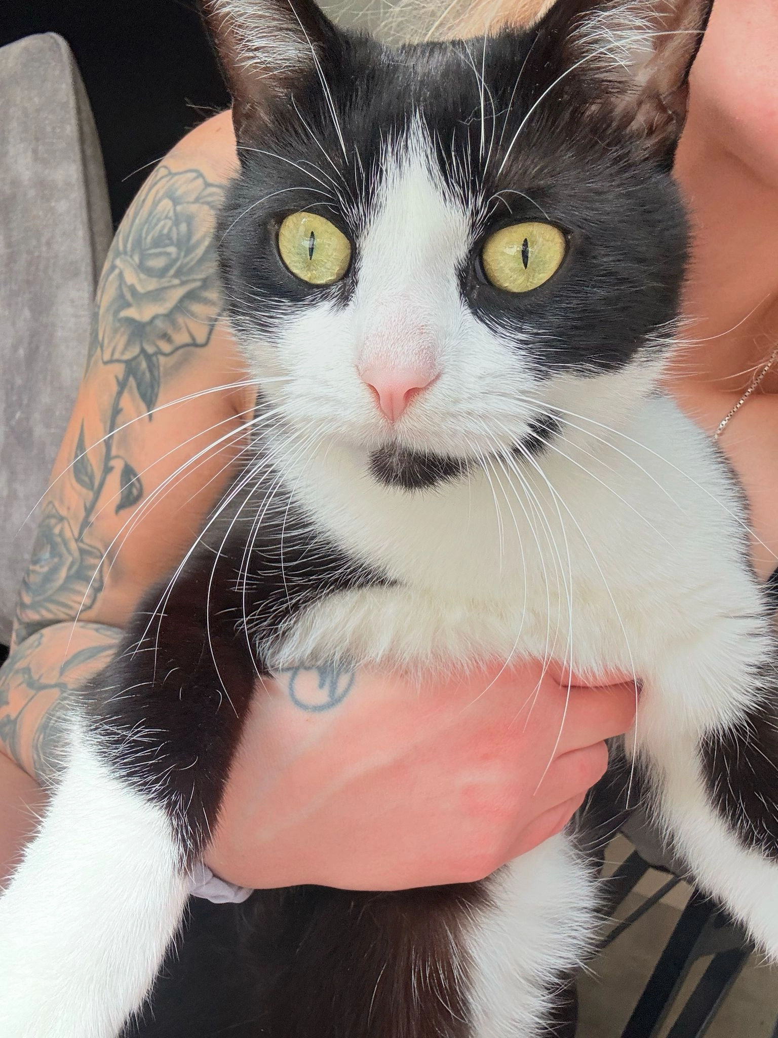 Fifi - Mannheimer Straße, Kelheim