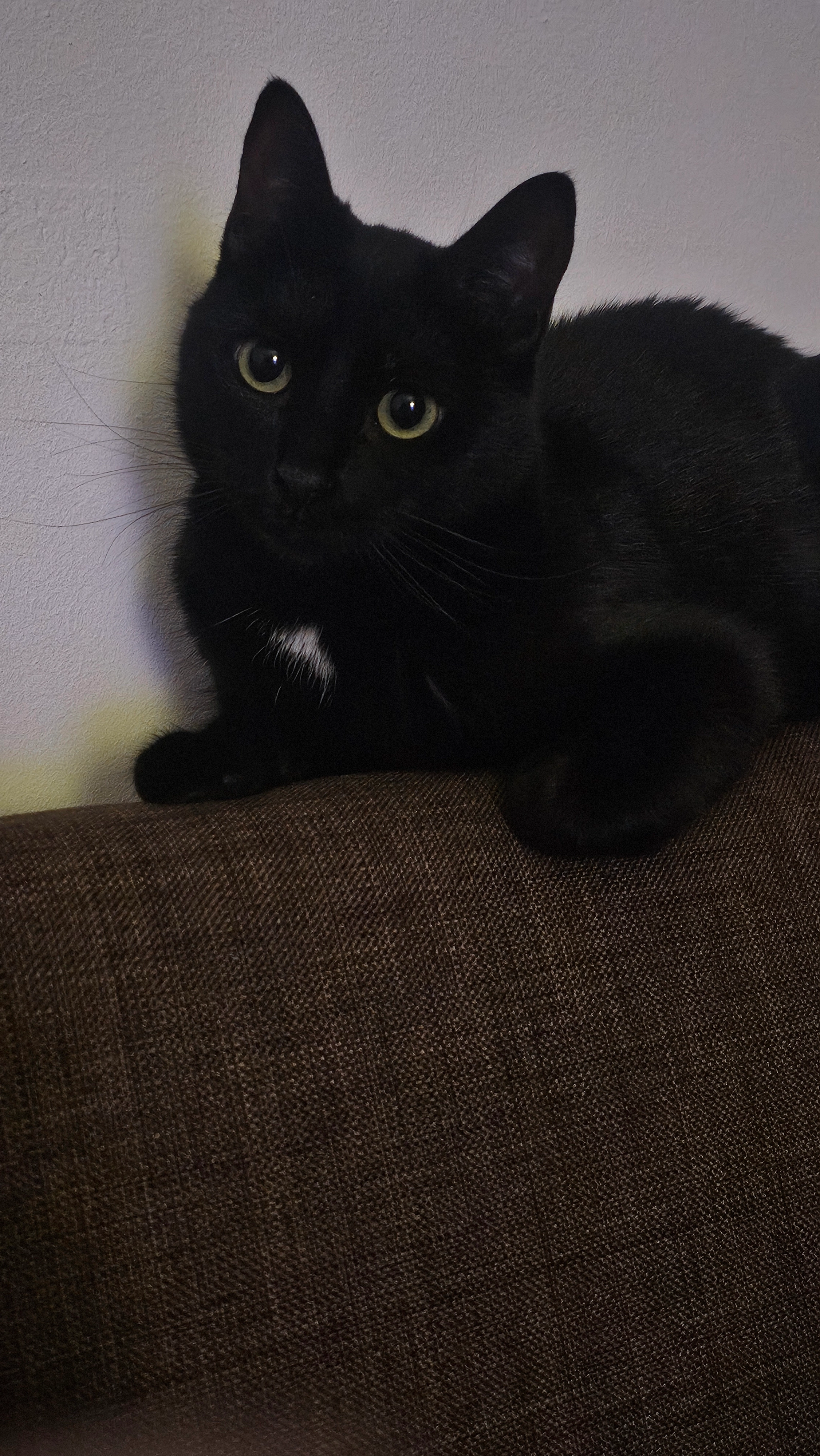 Happy - Strada Soldat Florea Lazăr, Bucharest