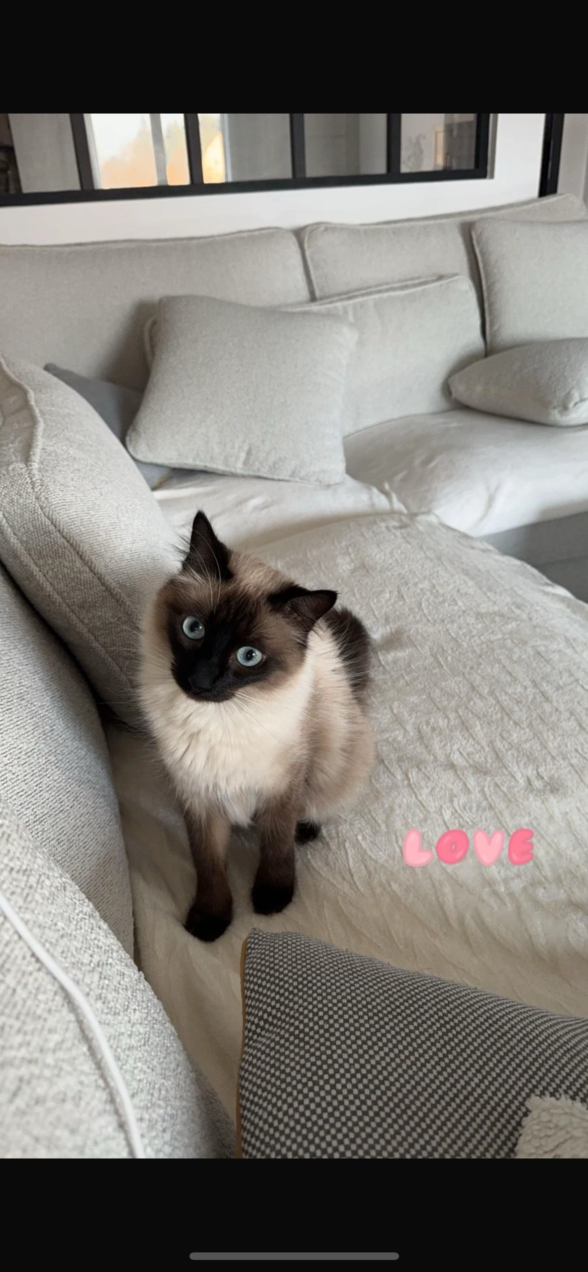 Tsouki - Rue Alfred Darroux, Saint-Fargeau-Ponthierry