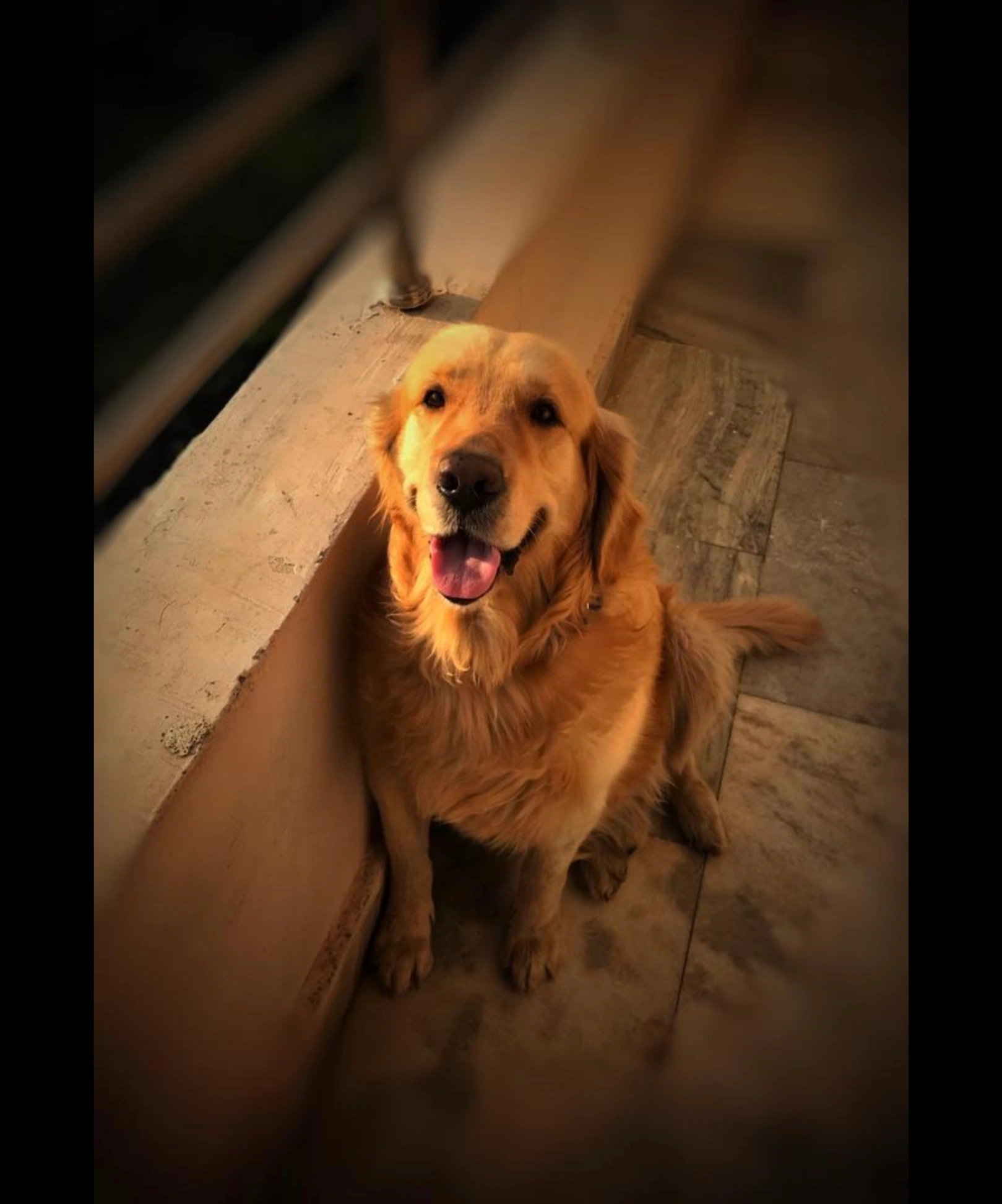 Bruno - Tellapur Road, Serilingampalli