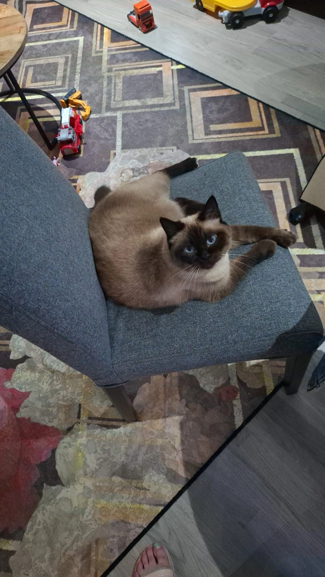 JAYLEE - Professor Van Ginnekenstraat, Oudenbosch