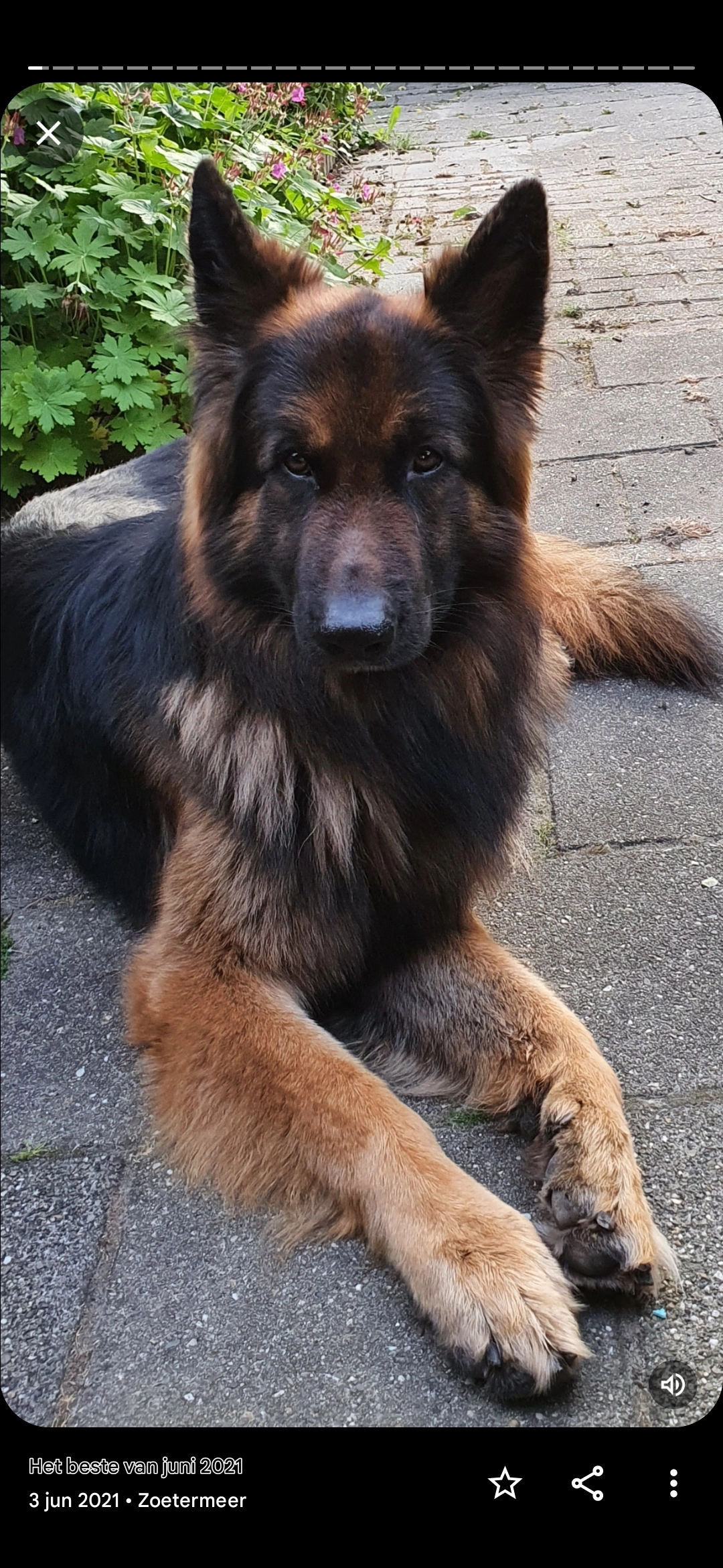 Cooper - Bremweg, Leersum