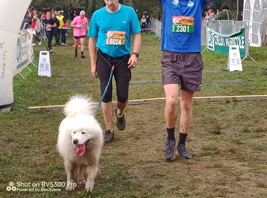 Oby - Route de Castets, Auros