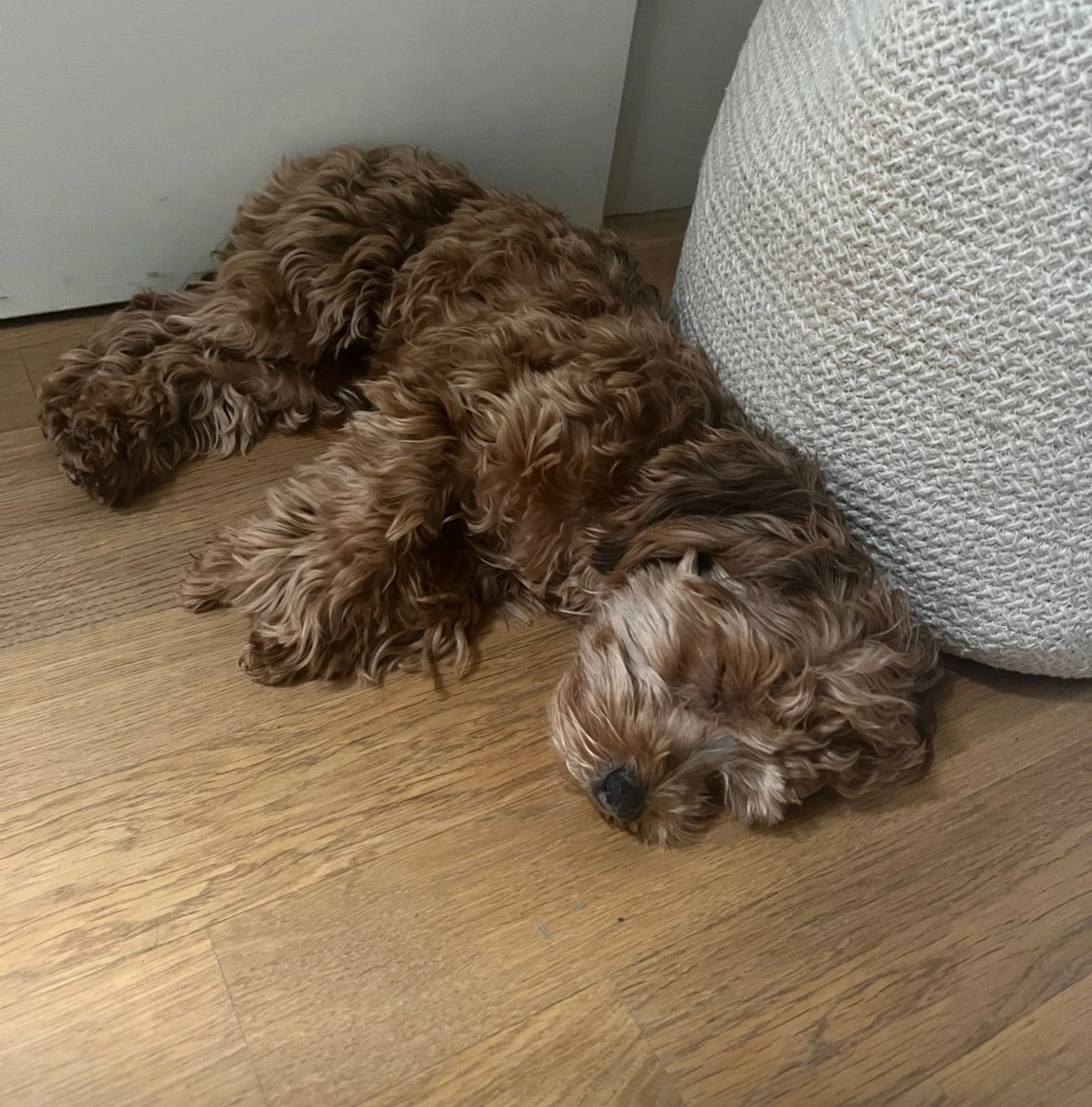 tuna - Chratzeren, Rüdlingen