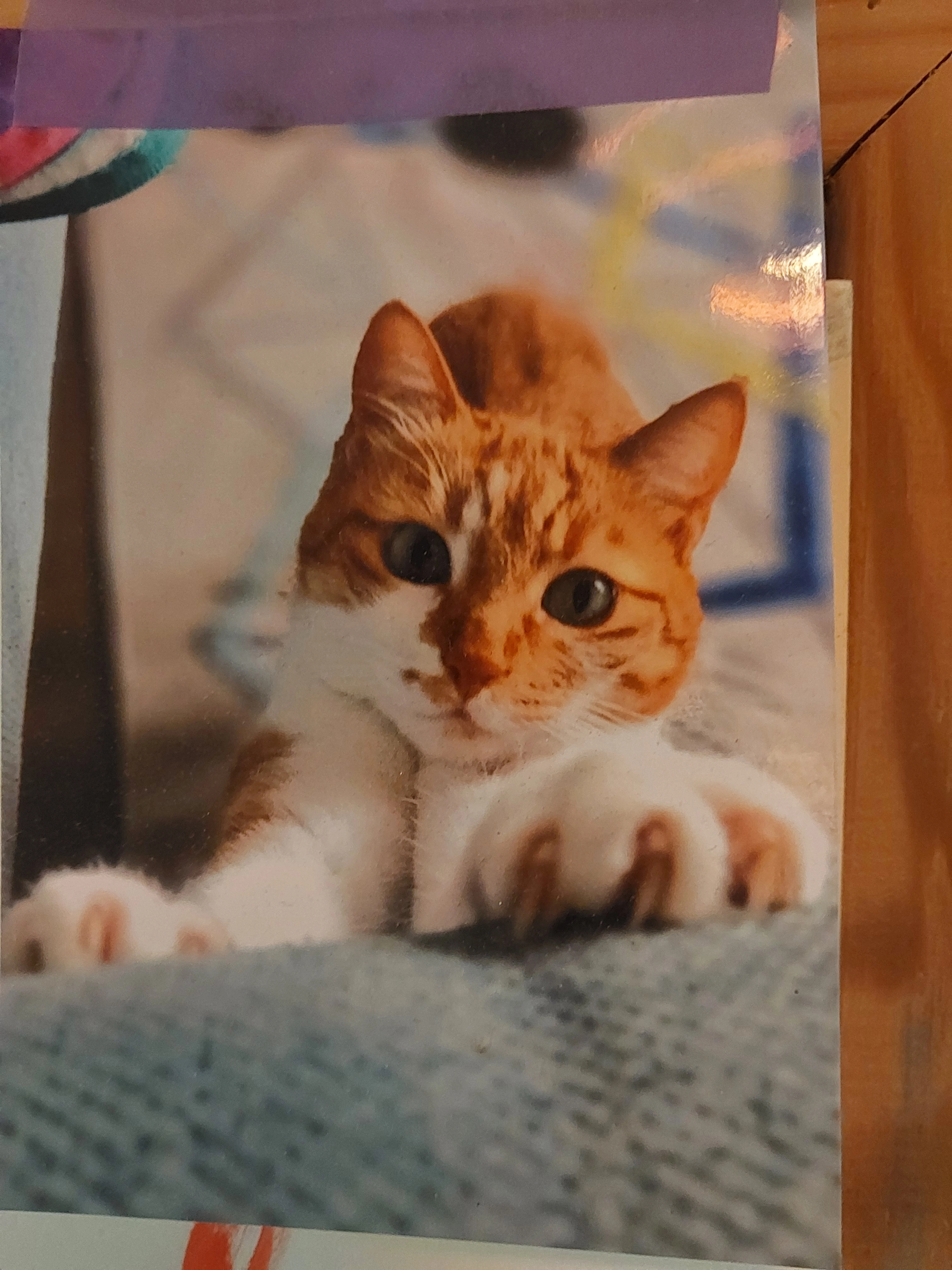 Andre - Lievevrouwestraat, Bergen op Zoom