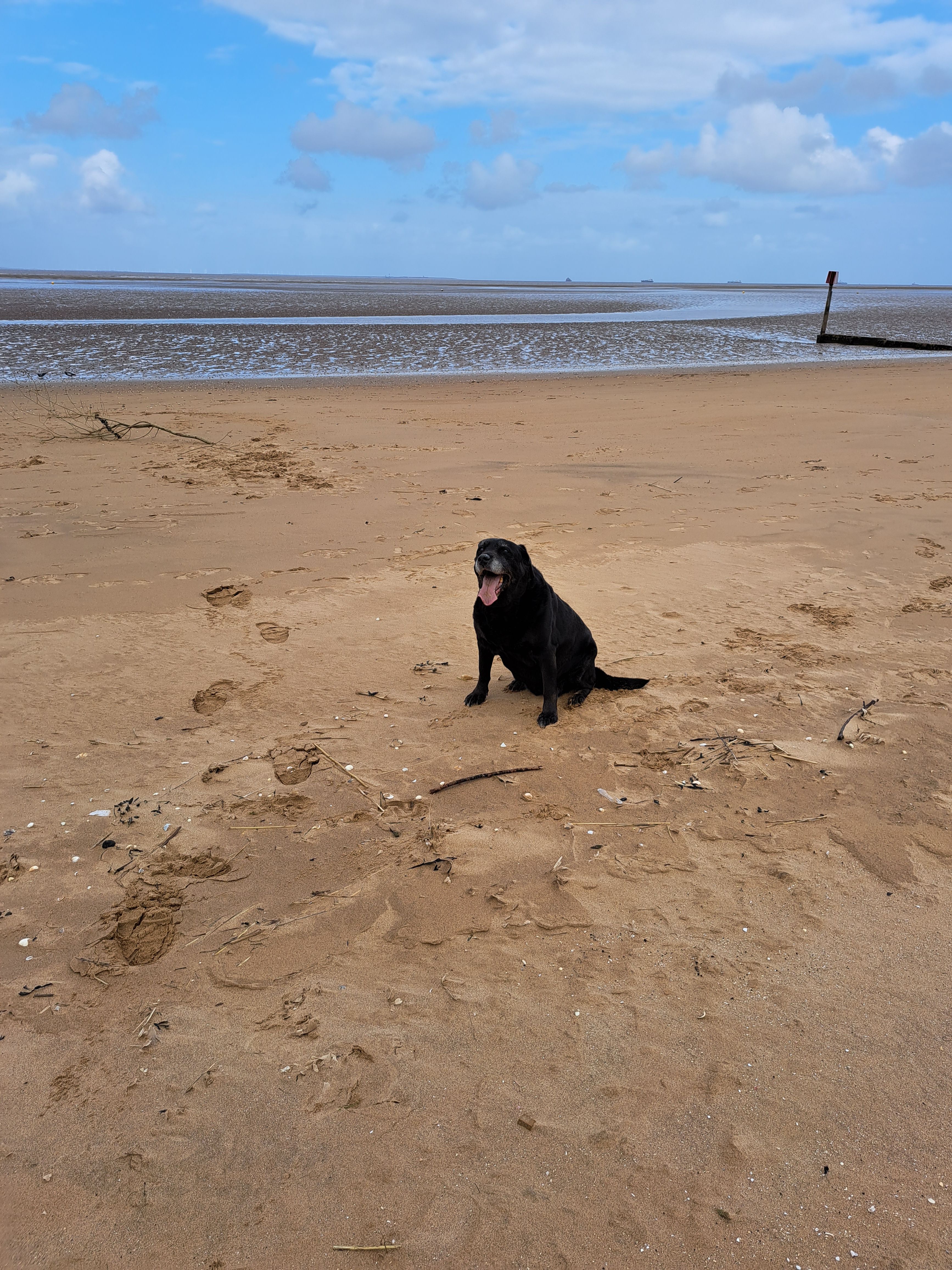 Barby - B38 9, Birmingham