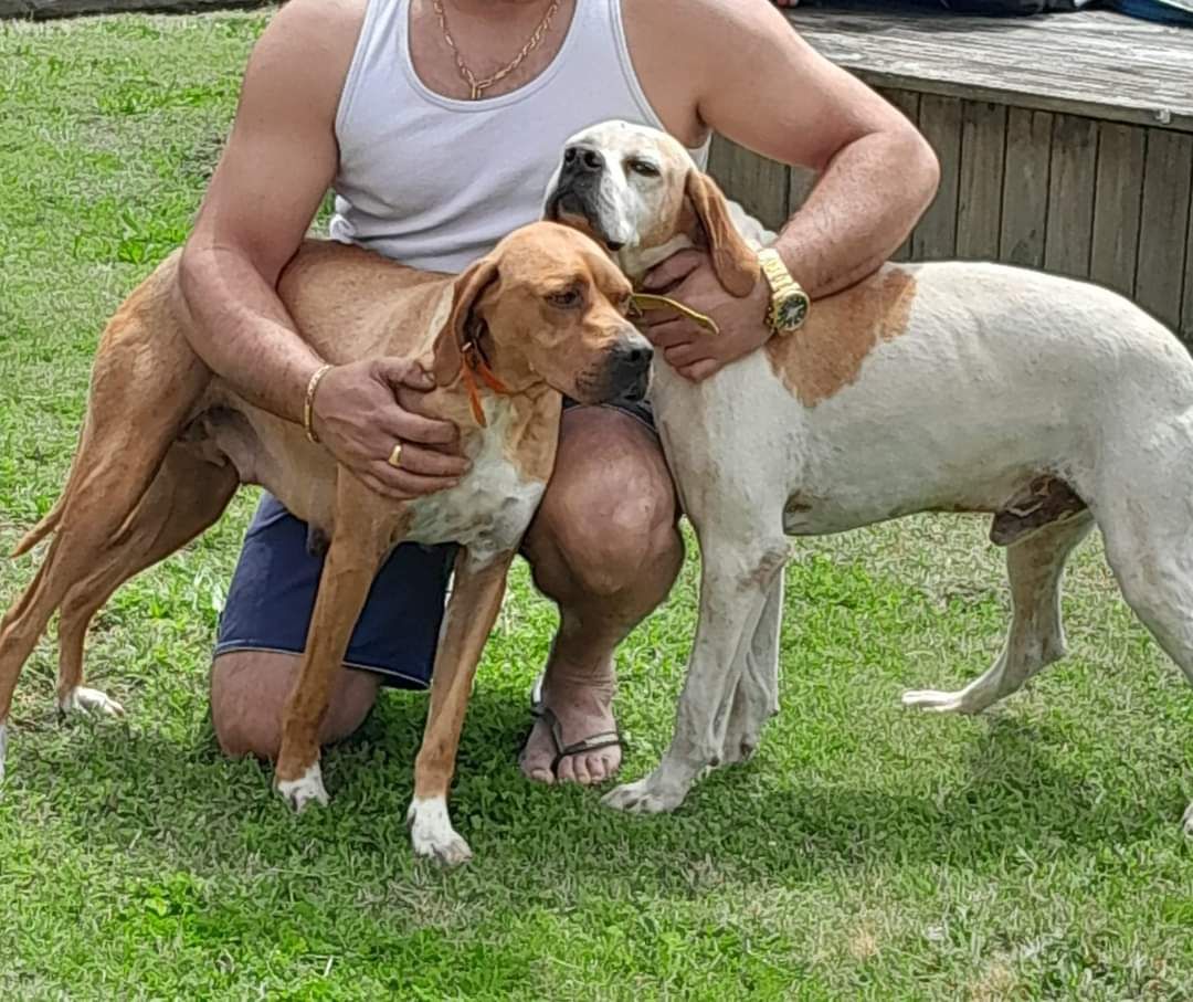 Lemon et salsa - Camensac, Saint-Laurent-Médoc