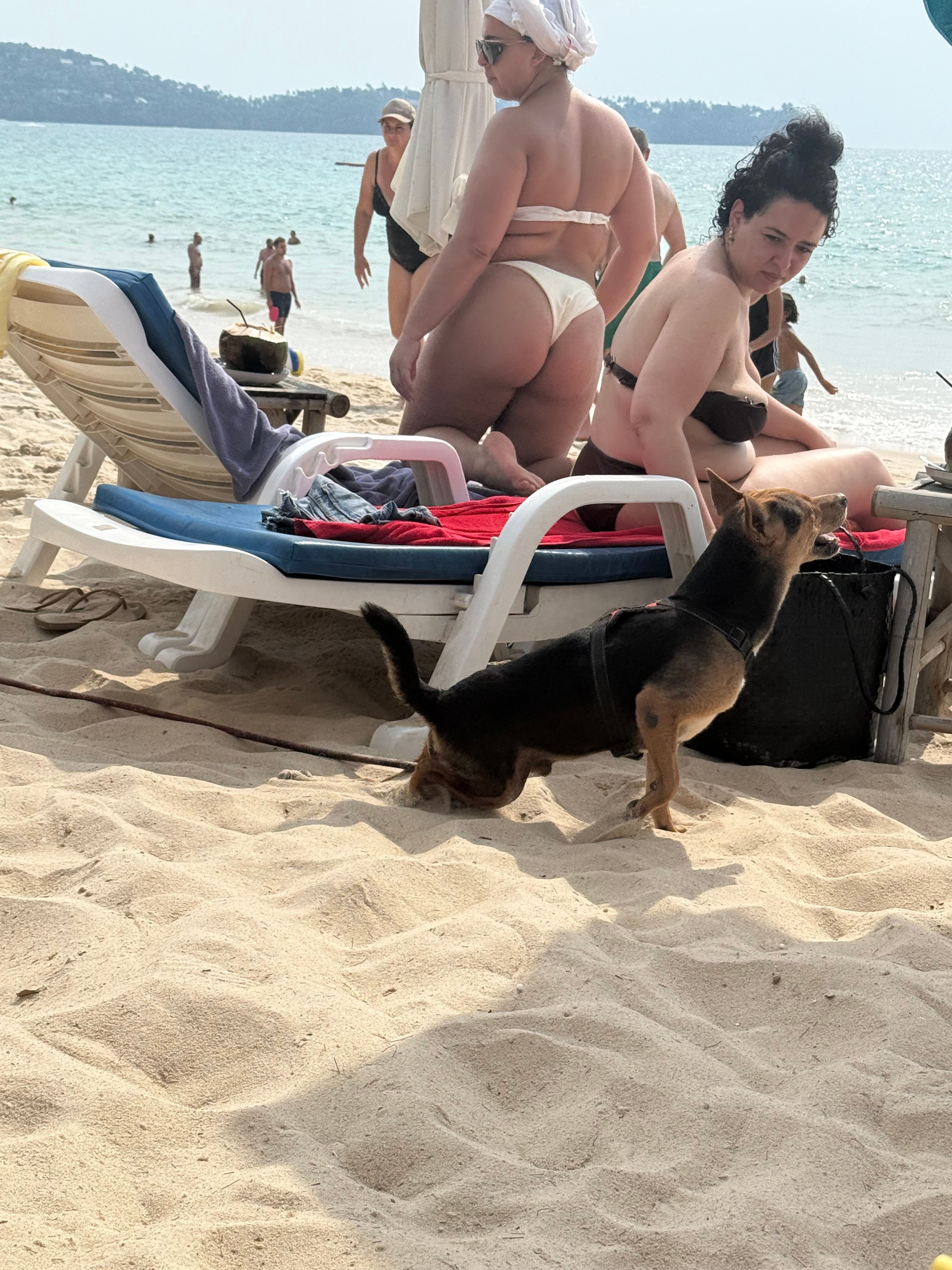 ? - Soi Bang Tao 4/2, Amphoe Thalang